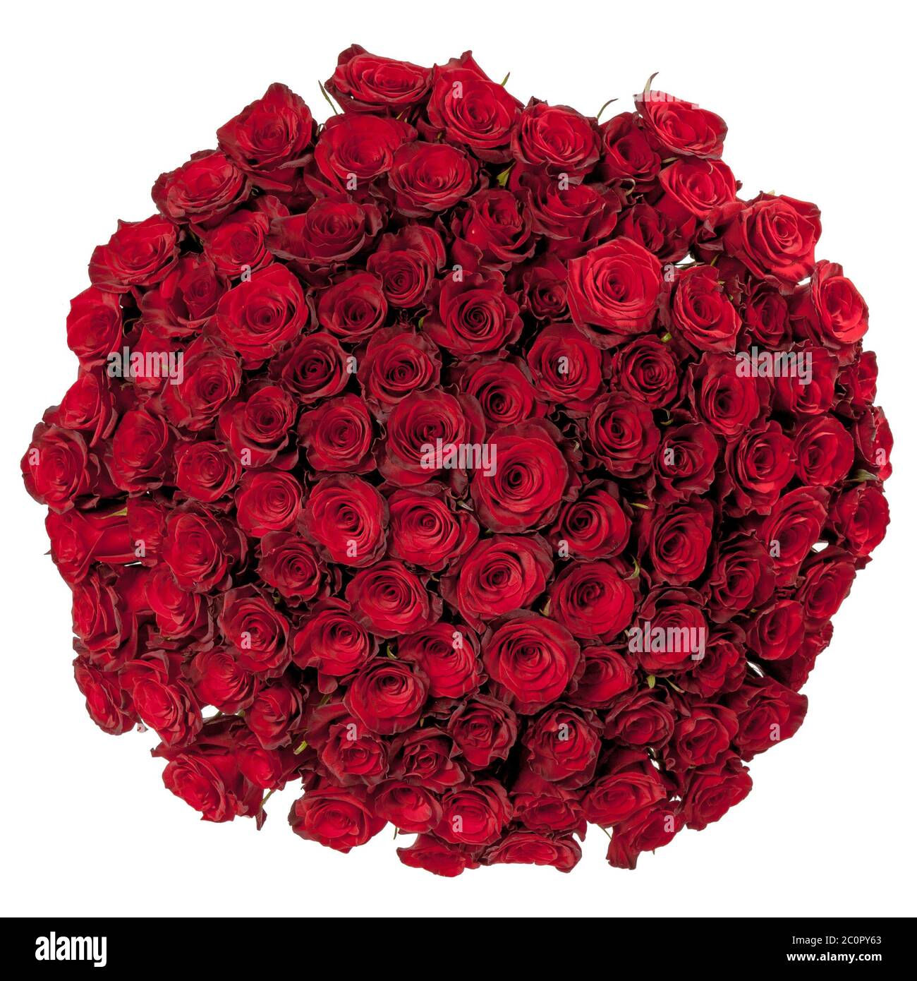 Beau bouquet de roses rouges isolé sur blanc Photo Stock - Alamy