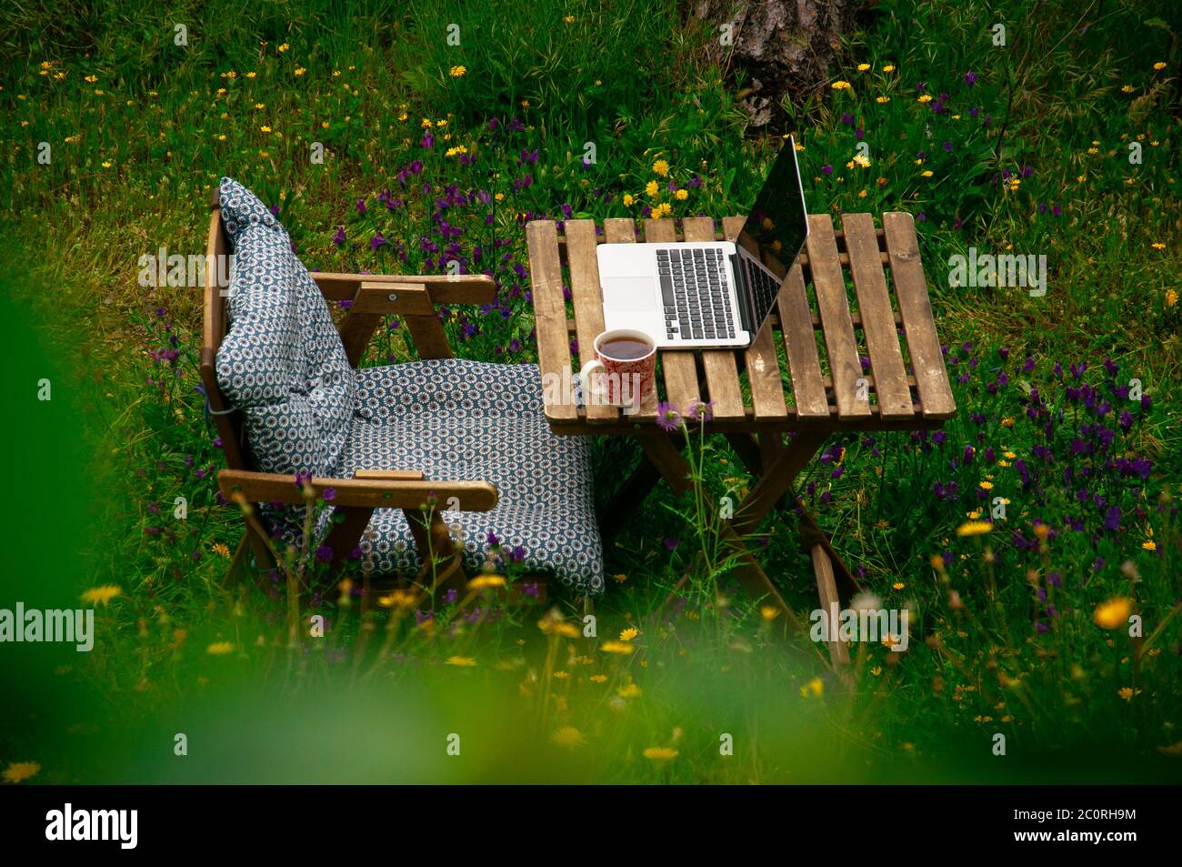 Un lieu de travail isolé sous forme de chaise en bois et une table avec un ordinateur portable et une tasse de thé rouge dans la forêt parmi les fleurs jaunes et violettes. Banque D'Images