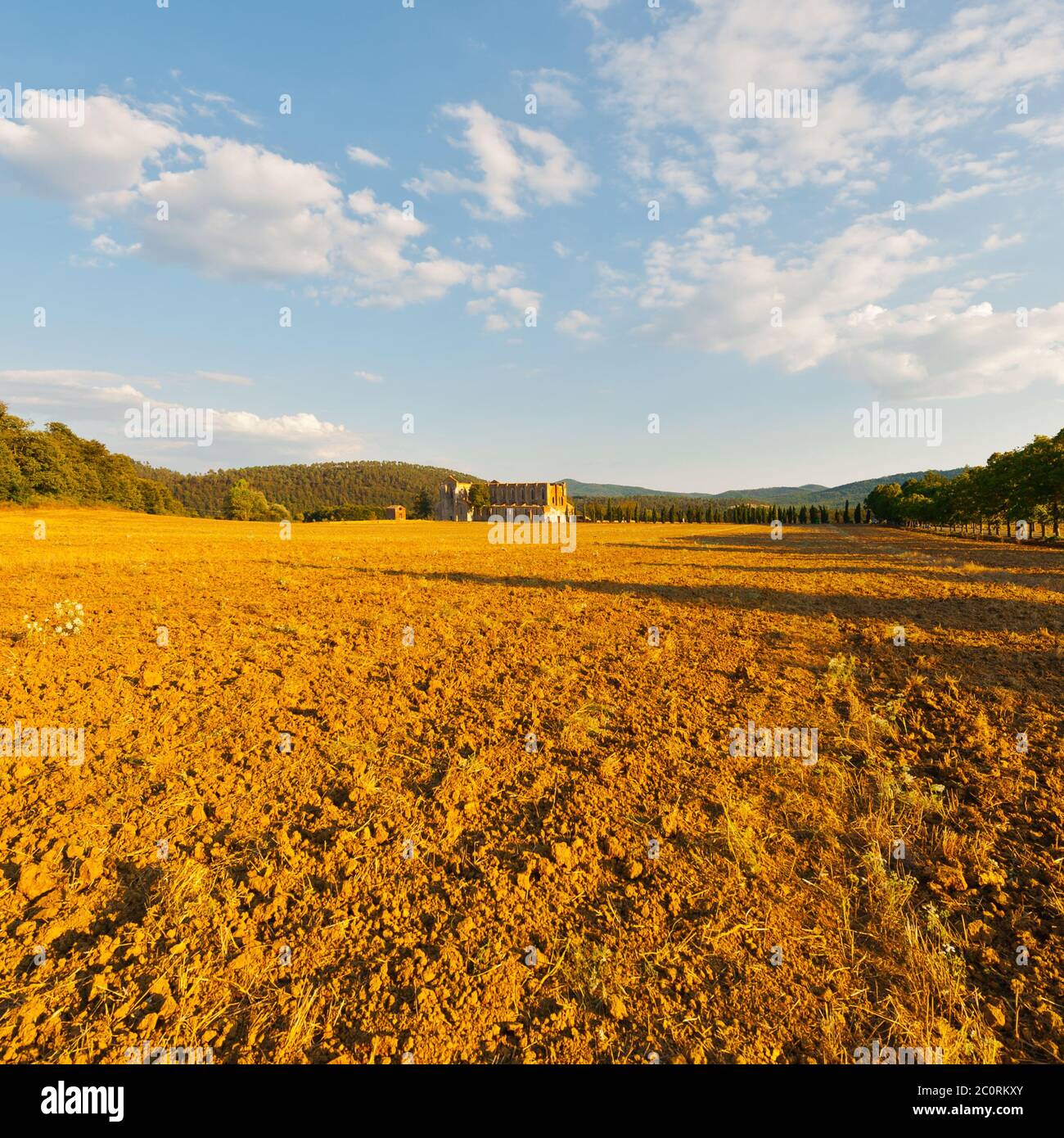 Sol en ruine Banque de photographies et d’images à haute résolution - Alamy