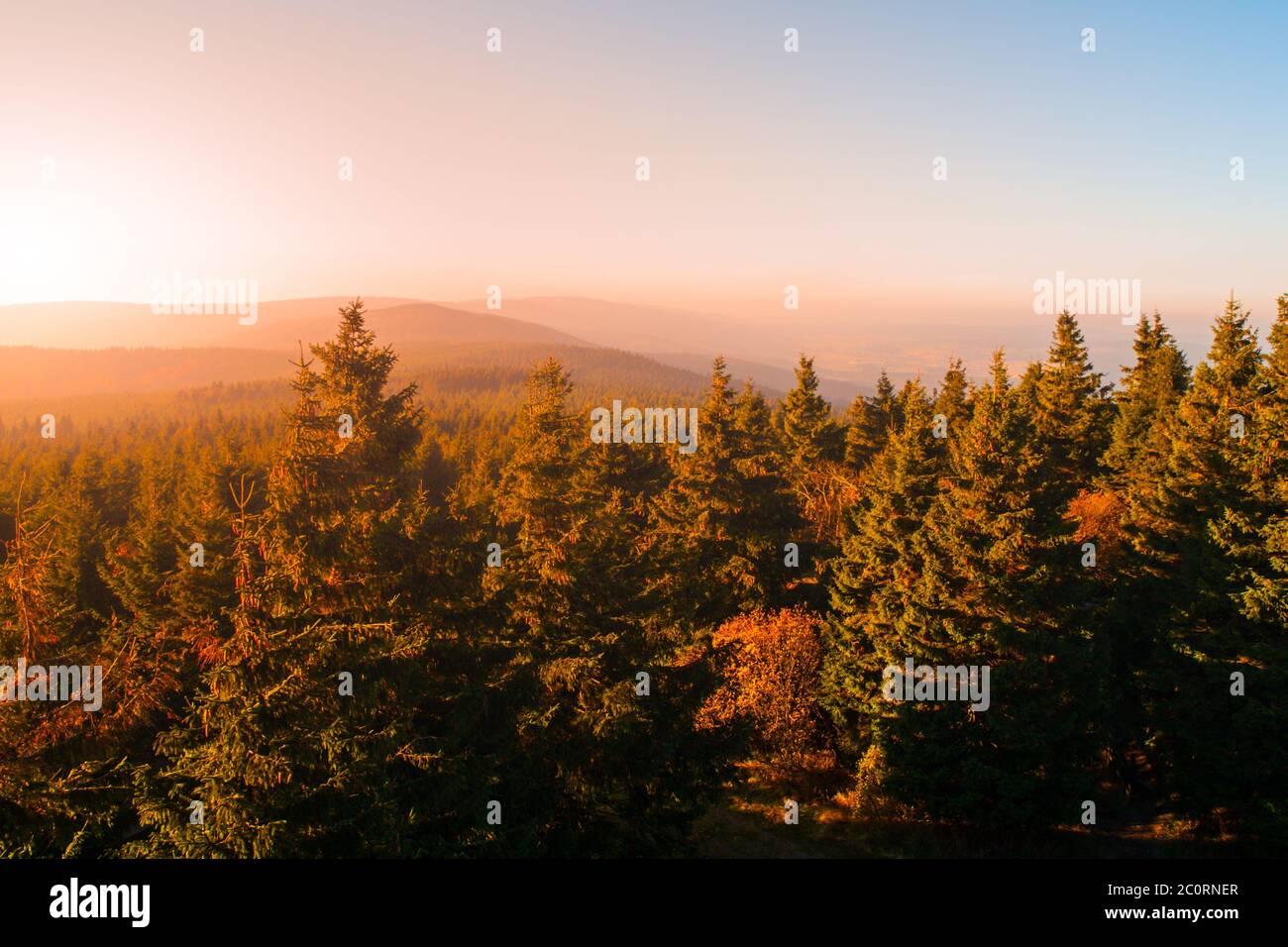 Brume d'automne illuminée par le soleil au-dessus des sommets, montagnes Eagle, Orlicke hory, République tchèque. Banque D'Images