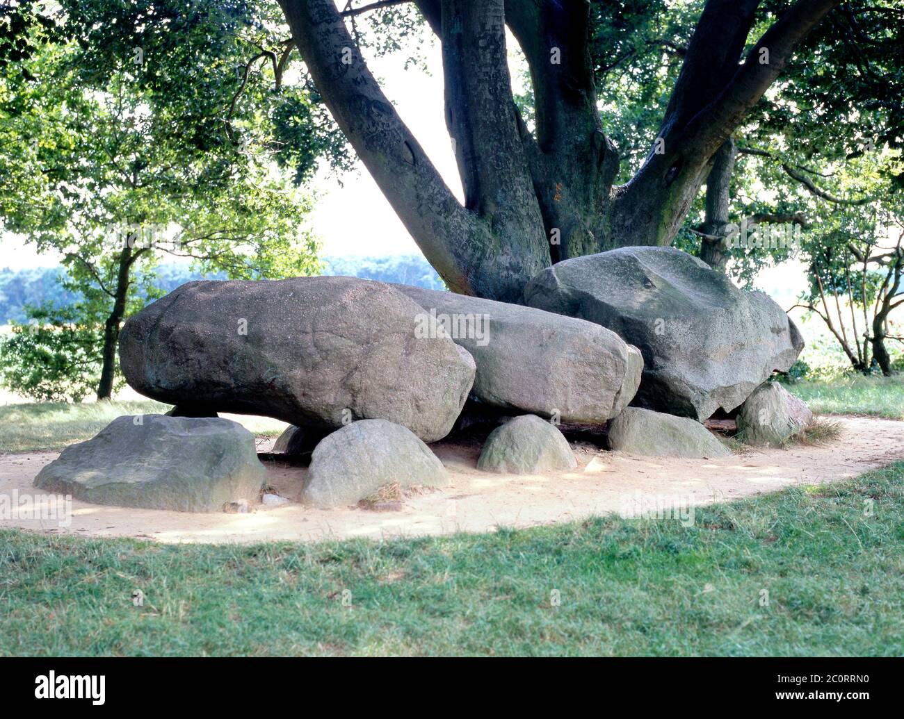 dolmen préhistorique, hunebed, à Borger, Drente (Drenthe), pays-Bas. Tombe d'environ 5400 ans, construit autour de 3400 av. J.-C. Banque D'Images