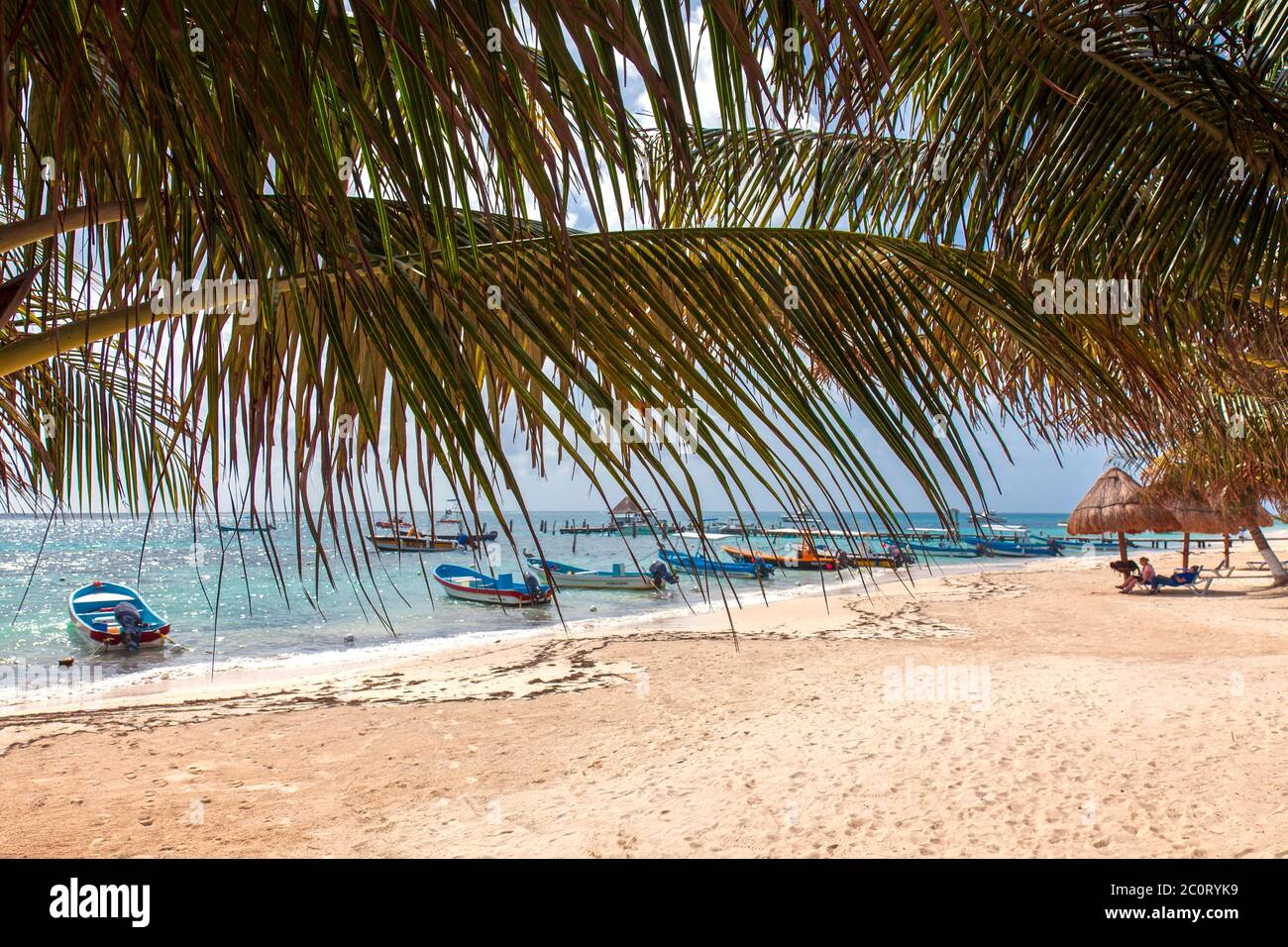 Flotte de Panga au bord de l'eau sur la plage de la ville, Puerto Morelos, Quintana Roo, Yucatan Banque D'Images