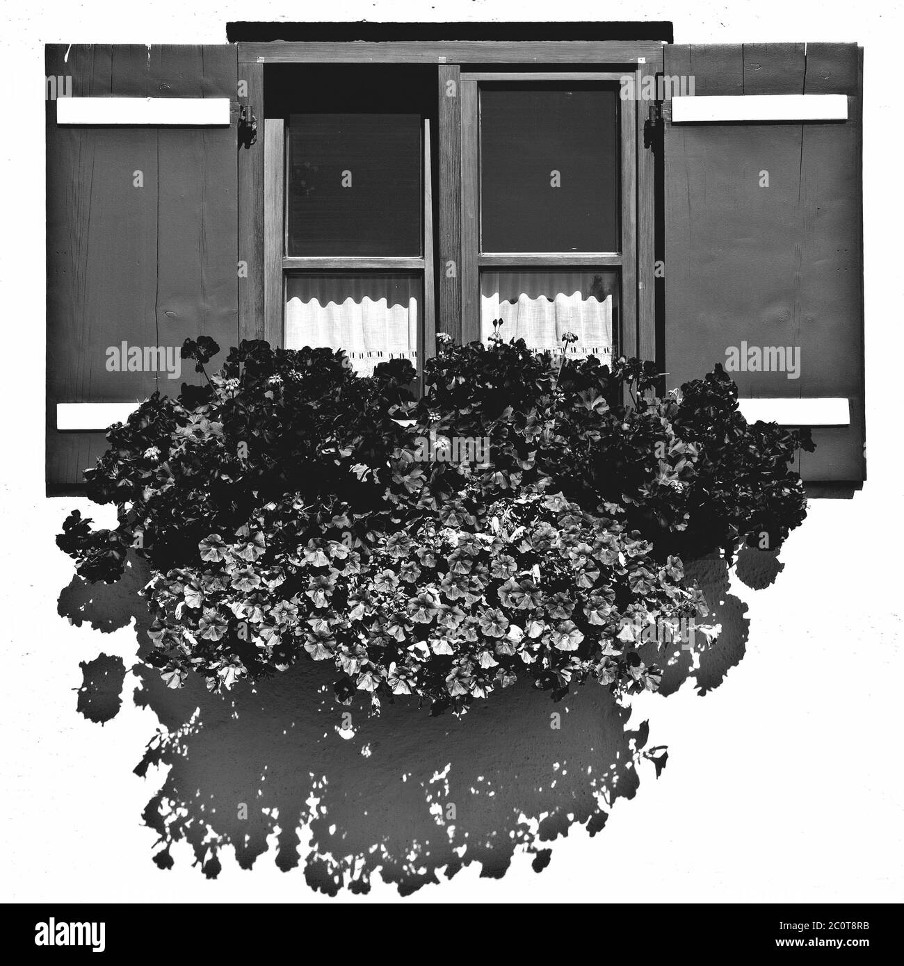 Fenêtre de bavarois Banque D'Images