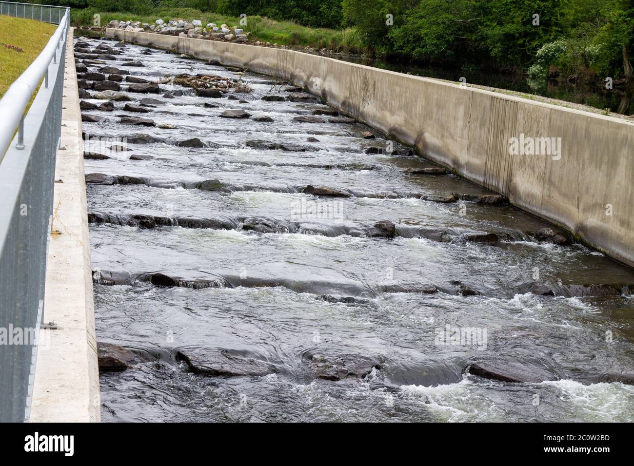 Rivière Bandon ou rivière Bandon Conditions de sécheresse de l'échelle de poissons West Cork Irlande Banque D'Images
