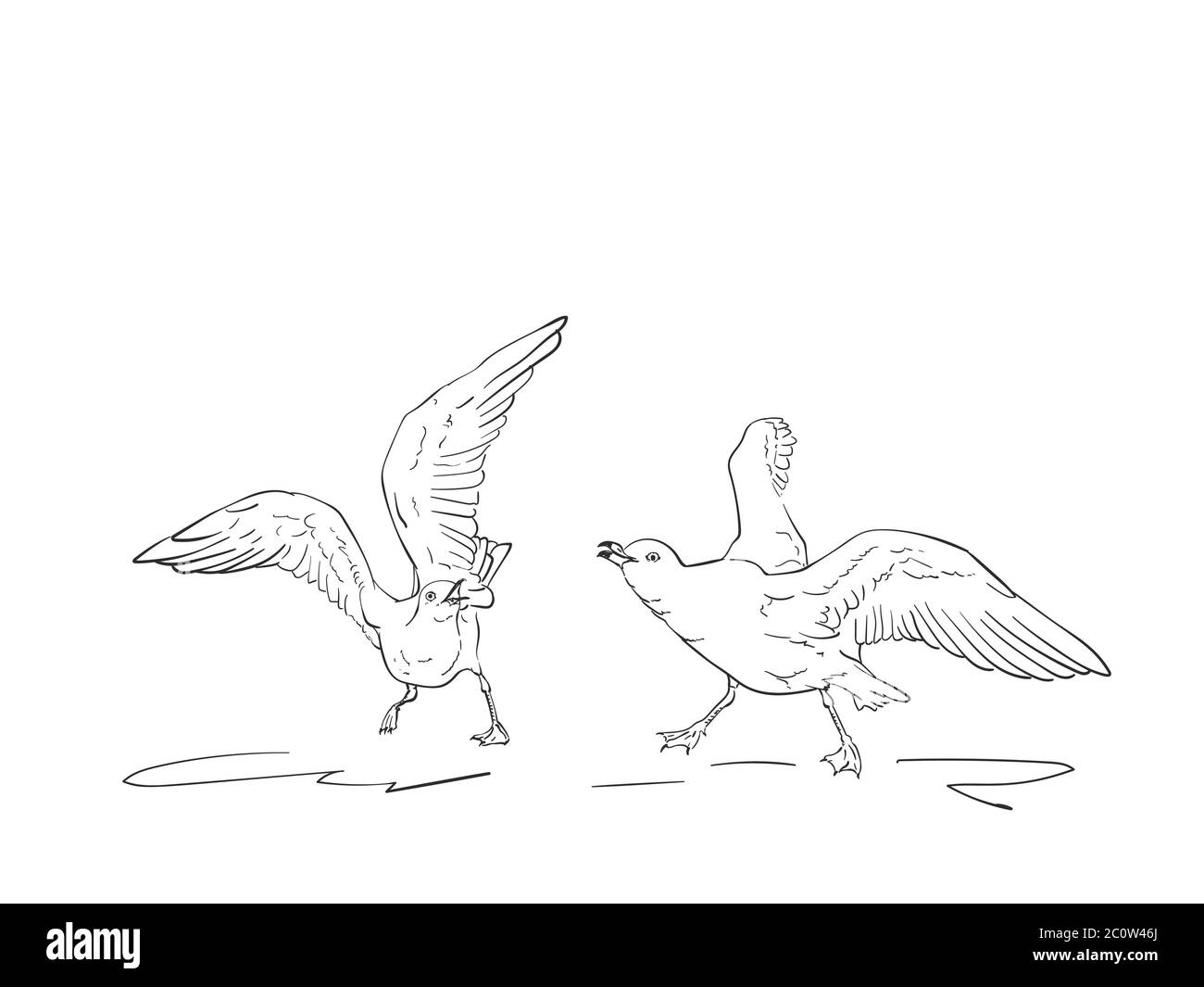 Croquis de deux mouettes furieux, illustration vectorielle dessinée à la main Illustration de Vecteur