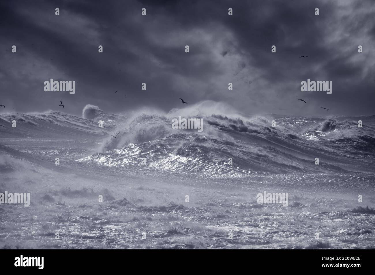 Côte portugaise du nord pendant une tempête violente Banque D'Images