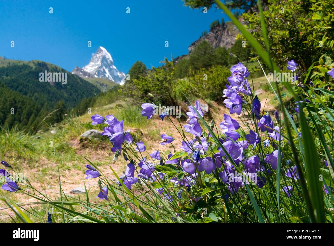 Montagne alpes Suisse cervin suisse paysage paysage campagne Banque D'Images