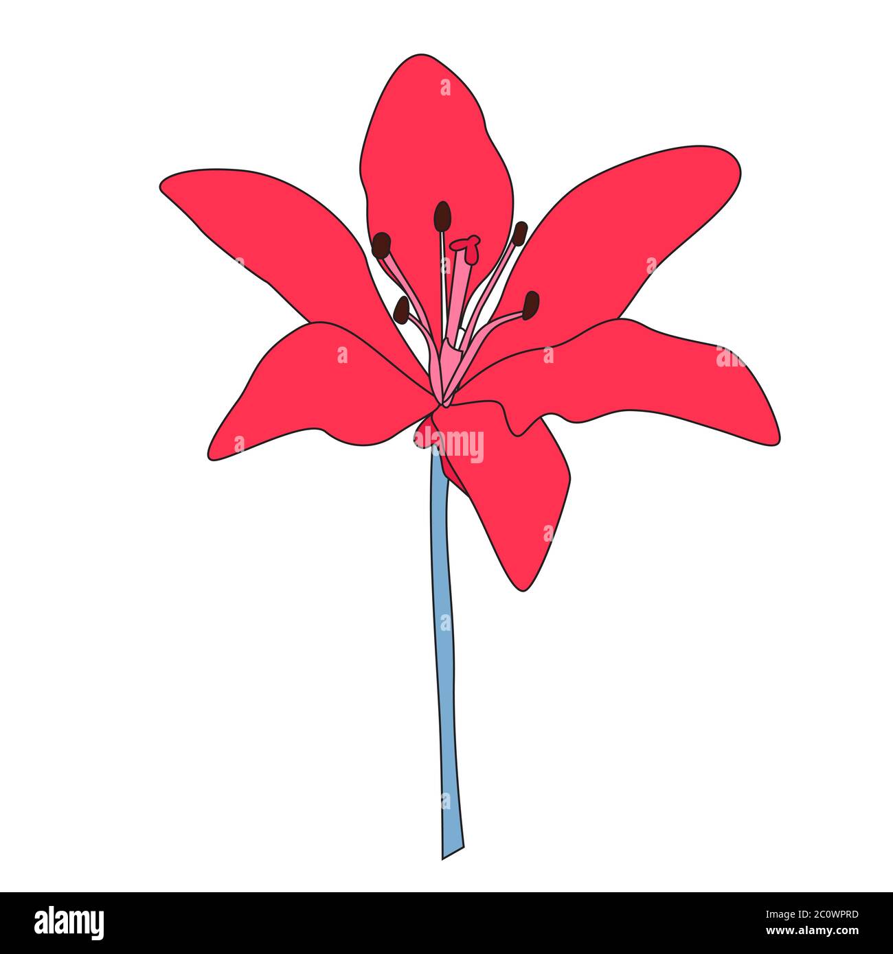 Fleur de Lilly dessinée à la main. Illustration vectorielle EPS10 Illustration de Vecteur