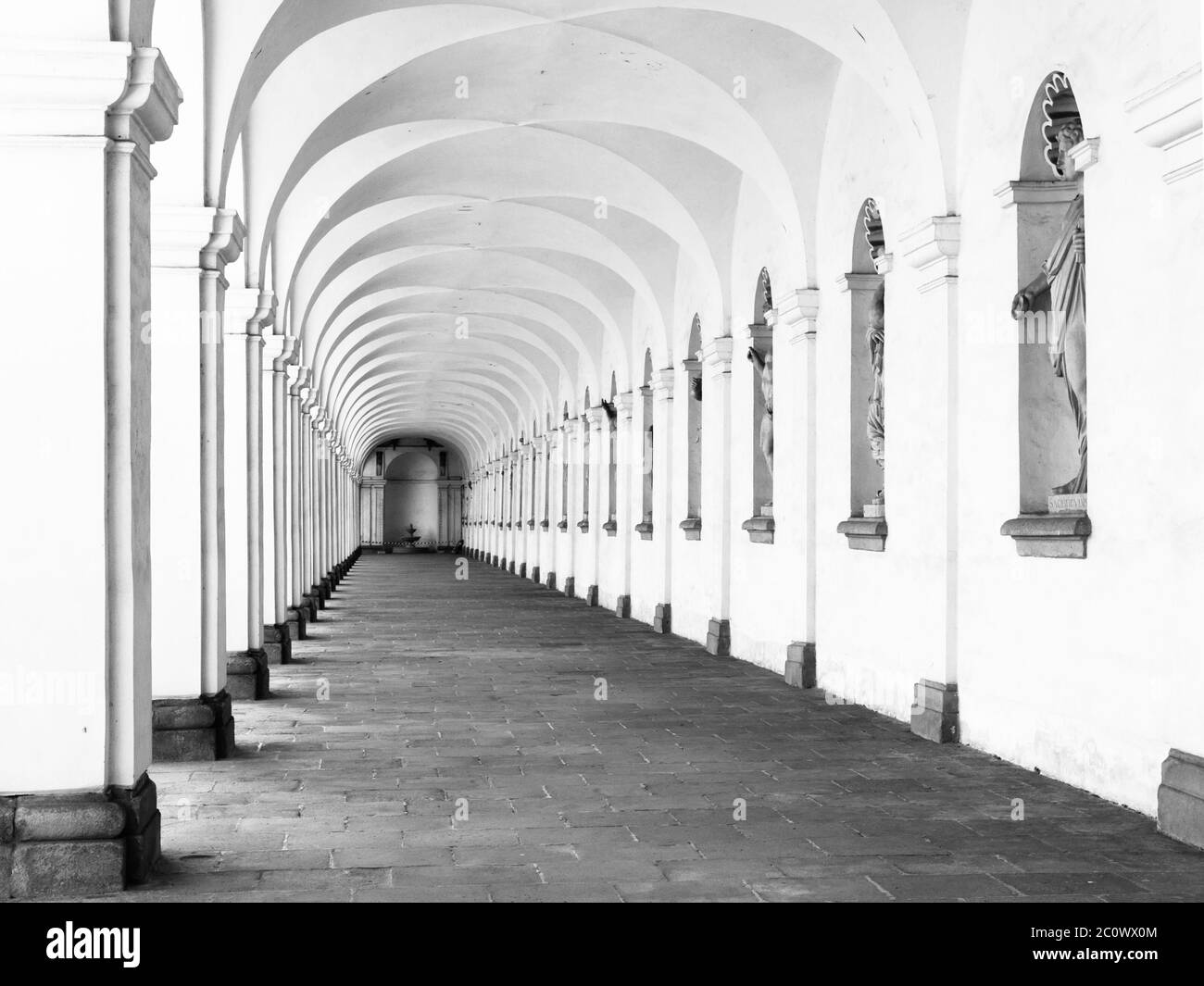 La promenade du parc mène à un arbre verdoyant à feuilles caduques sur une colline de fraise dans le jardin aux fleurs de Kromeriz, République tchèque Banque D'Images