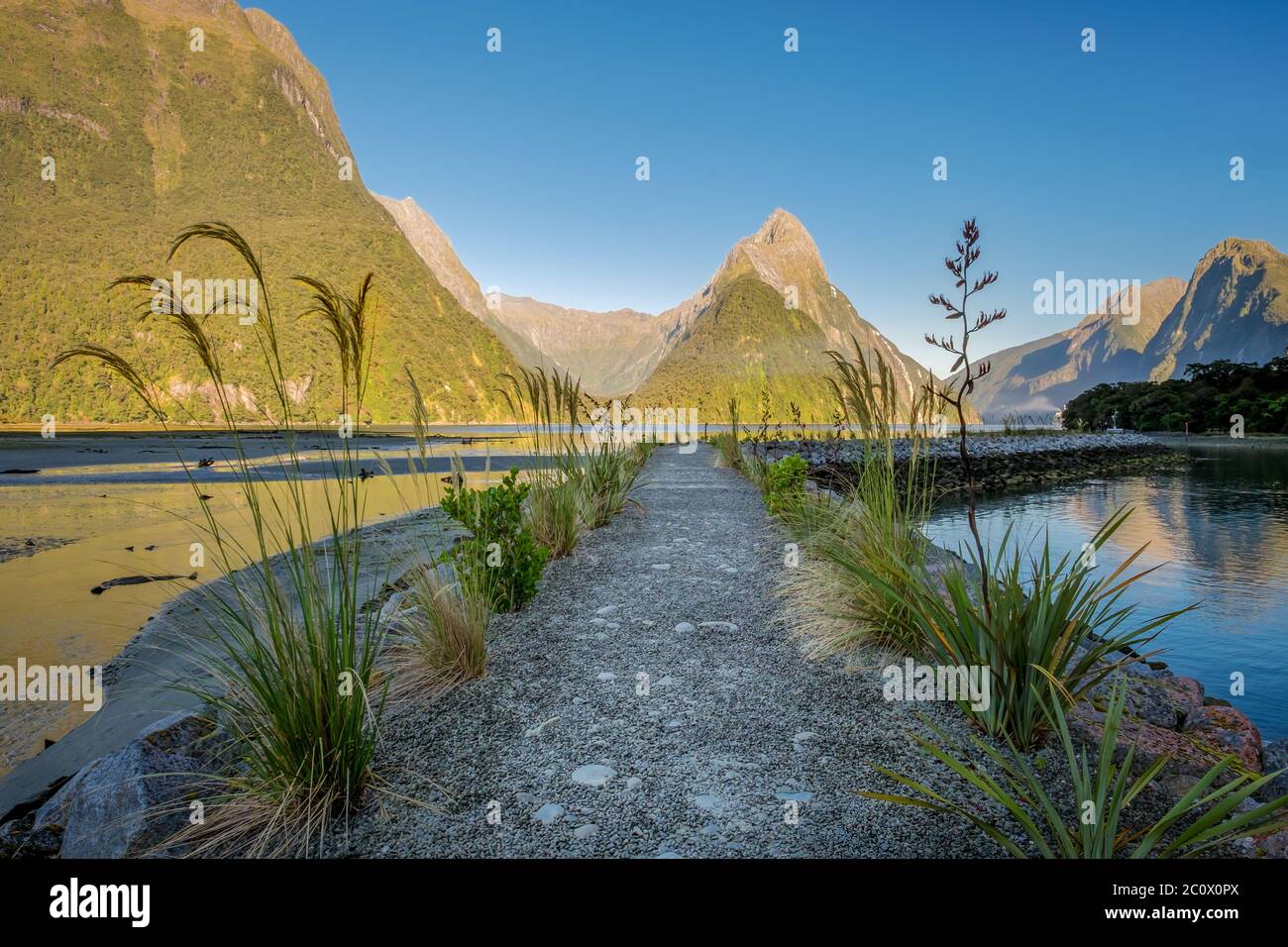 Militer Peak dans le Milford Sound de Nouvelle-Zélande. Banque D'Images