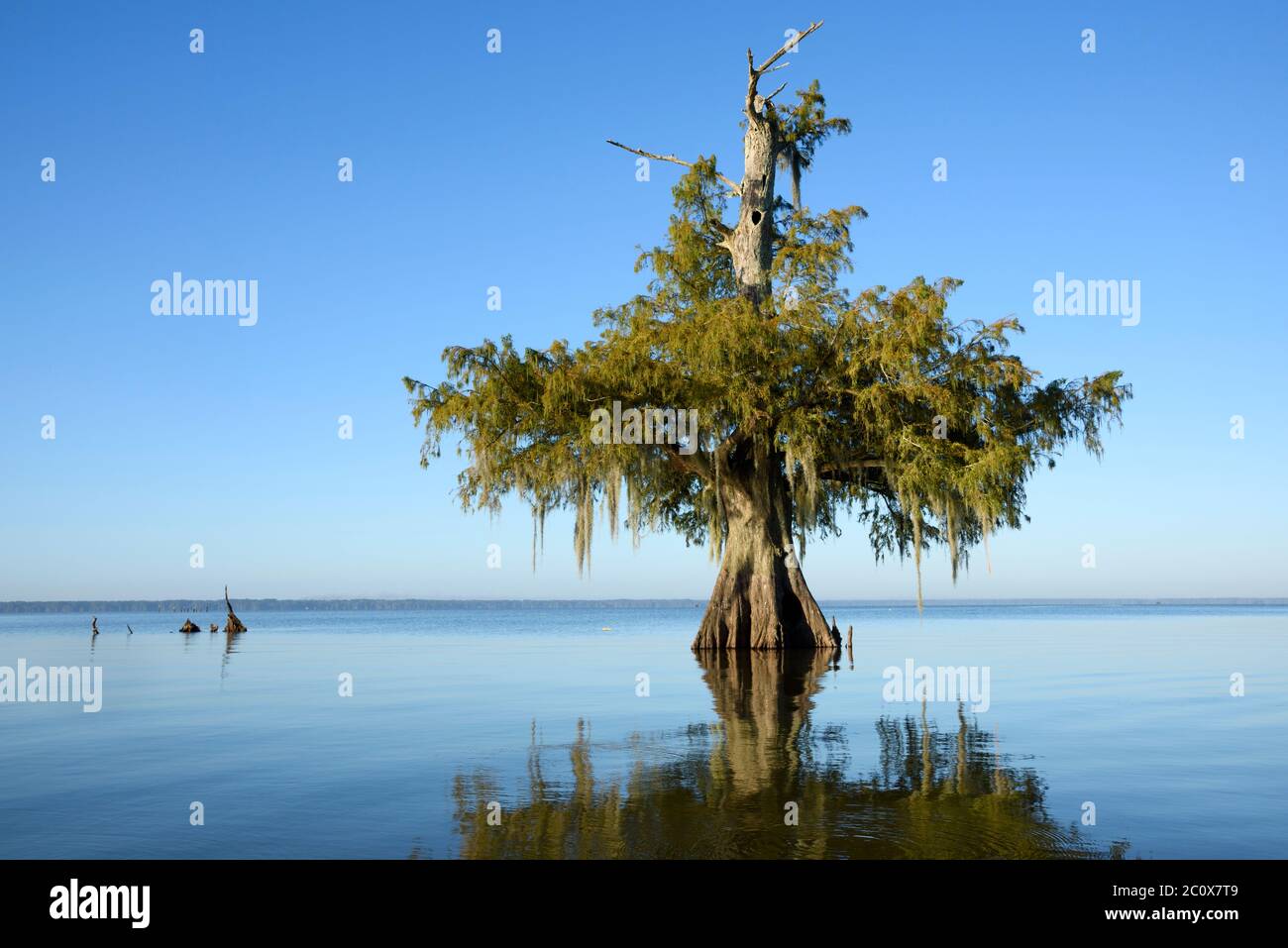 États-Unis, Louisiane, paroisse de Jefferson, St.Martinville, lac Fausse Banque D'Images