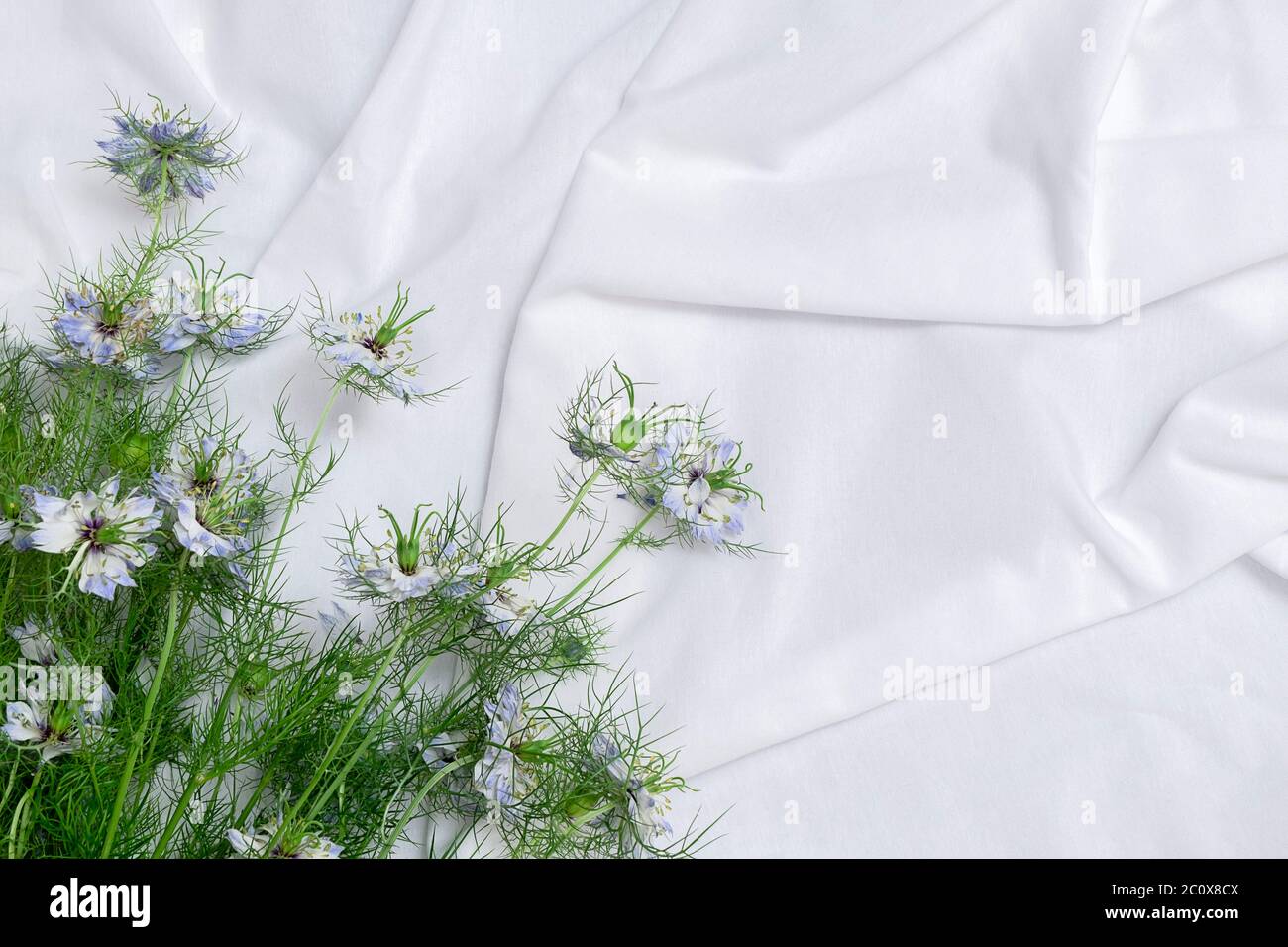 Décor romantique avec fleurs printanières sur les draps. Vue de dessus, espace pour le texte Banque D'Images