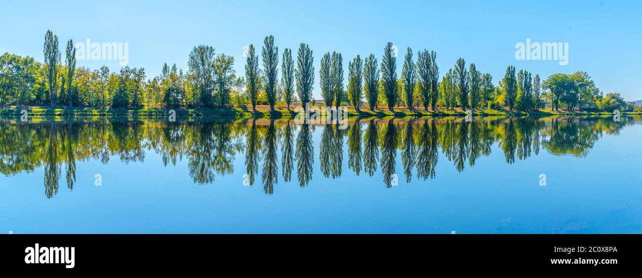 Allée de peupliers verts luxuriants se reflétant dans l'eau le jour ensoleillé de l'été. Banque D'Images