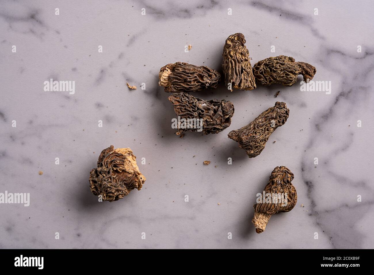 champignons morel sur fond blanc Banque D'Images