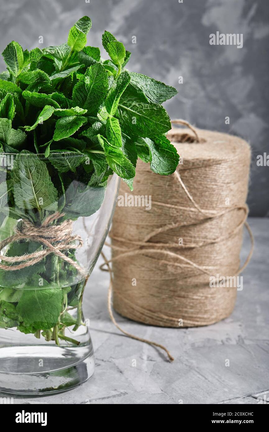 Un bouquet de menthe fraîche dans un vase en verre avec de l'eau, des produits biologiques pour le magasin, l'emballage écologique, la livraison de nourriture. Banque D'Images