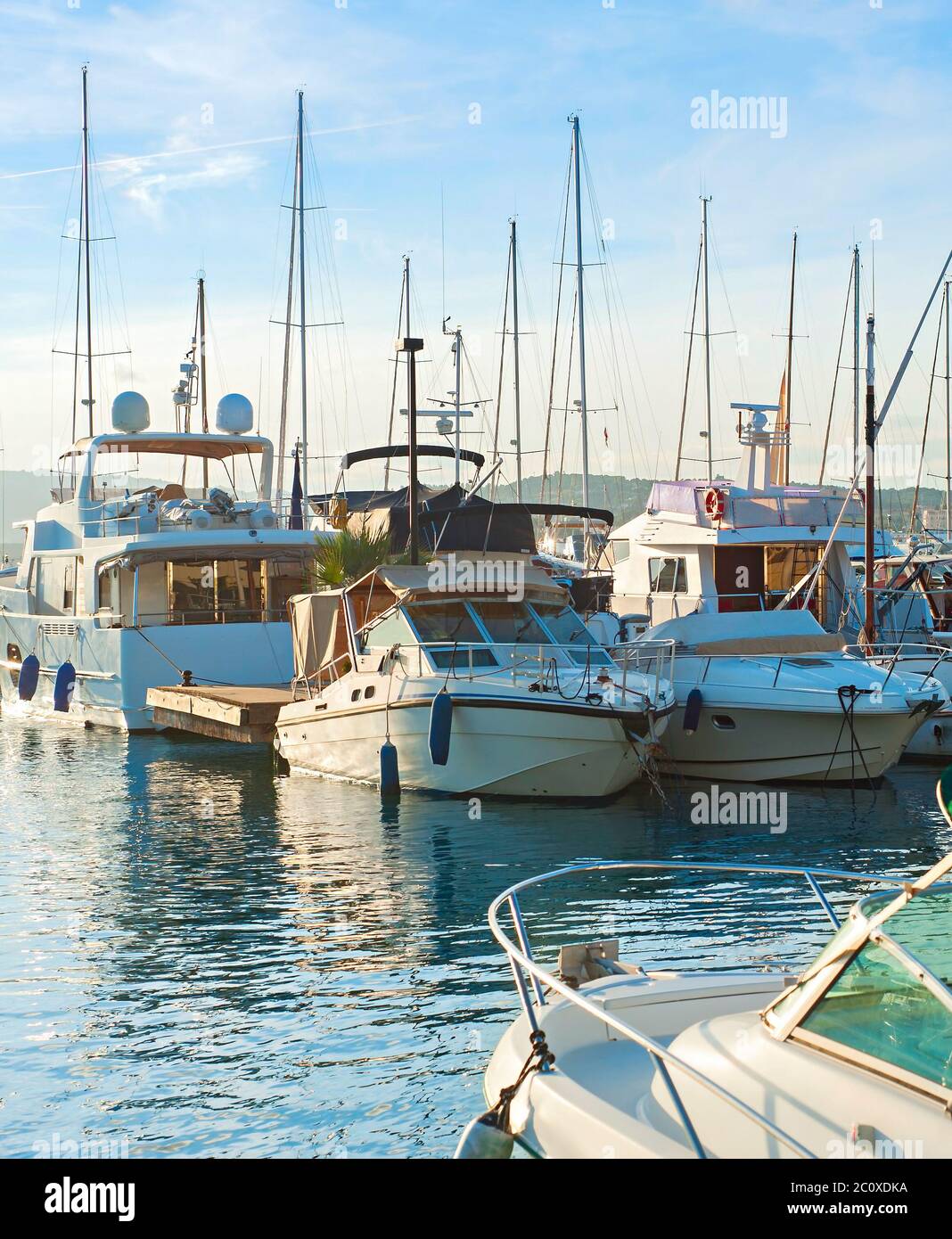 Yachts dans la marina, Cannes, France Banque D'Images