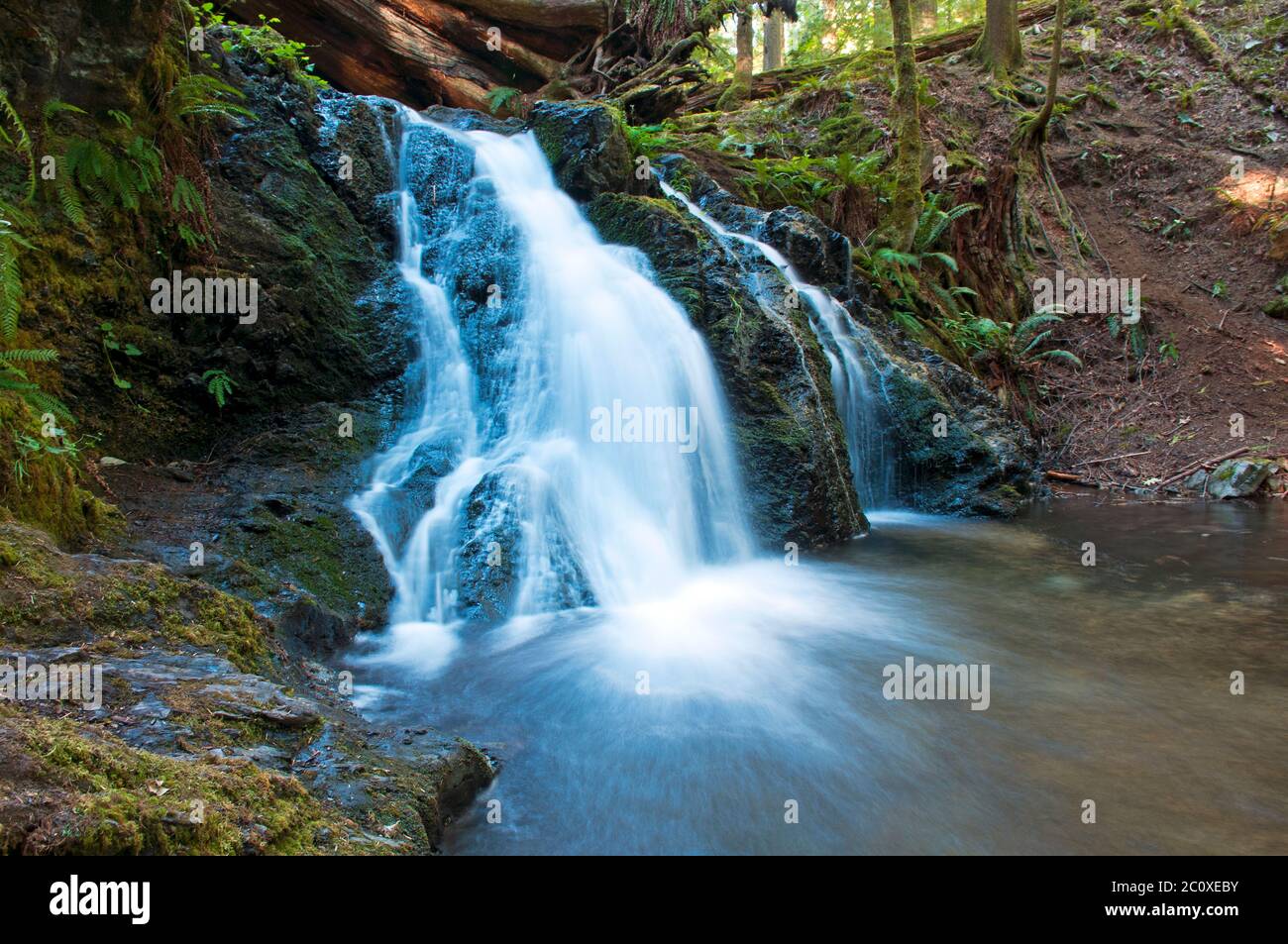 Parc national de Moran Cascade Falls, île d'Orcas, Washington, États-Unis Banque D'Images