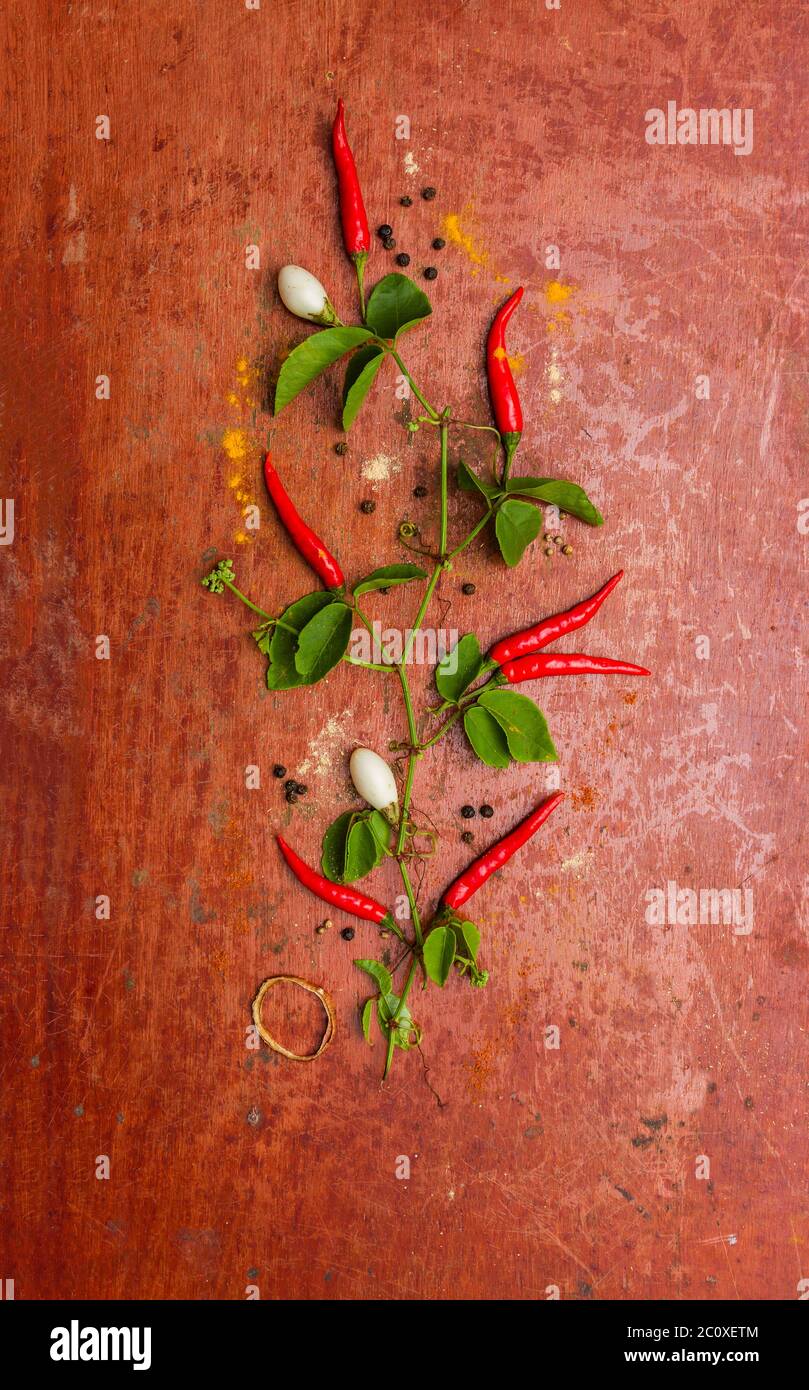 Feuilles de piment rouge Banque de photographies et d’images à haute