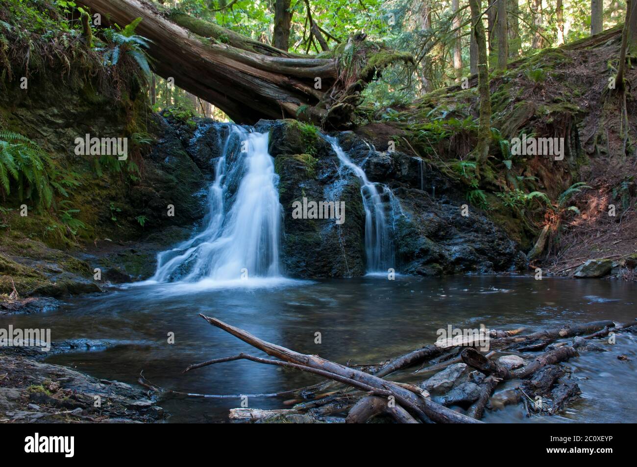 Parc national de Moran Cascade Falls, île d'Orcas, Washington, États-Unis Banque D'Images
