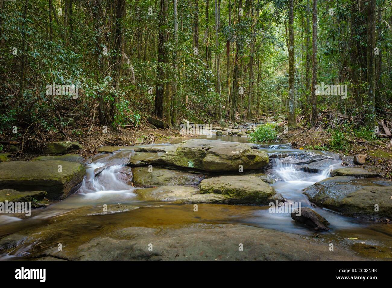 Une longue exposition de Serenity Falls et de la piscine de roche à la fin de Buderim Forest Park's Bush Walk sur la Sunshine Coast dans le sud-est du Queensland. Banque D'Images