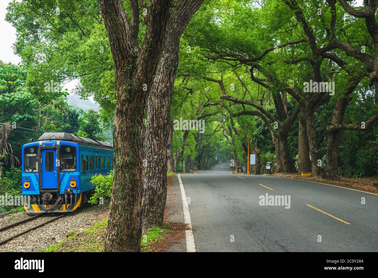 Jiji tunnel vert et train à nantou, taïwan Banque D'Images