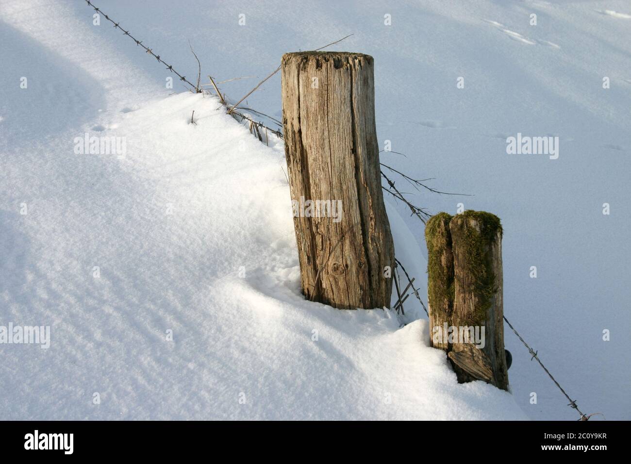 Bloqués par la neige Banque D'Images