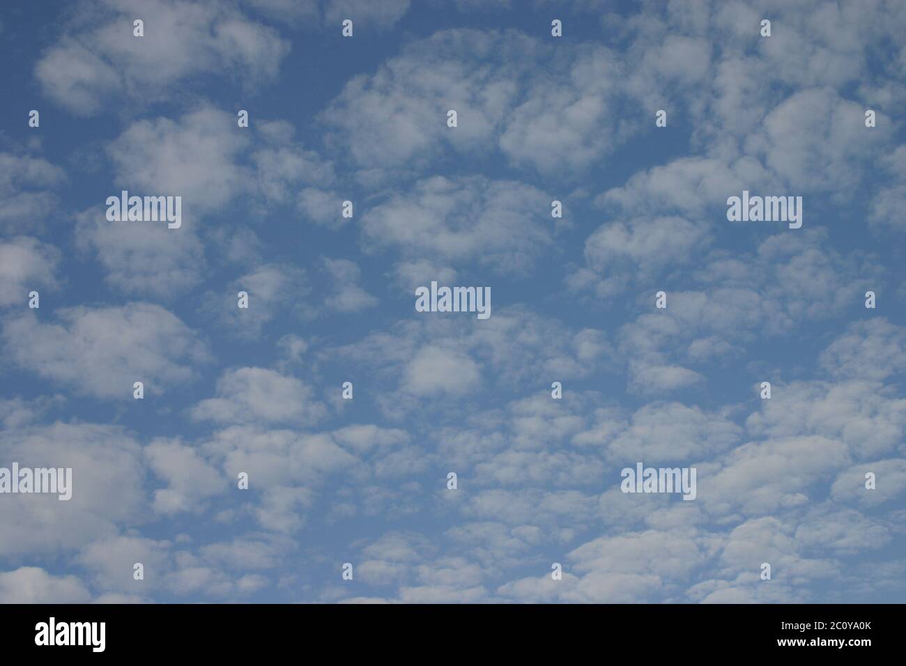 nuages moutonneux Banque D'Images