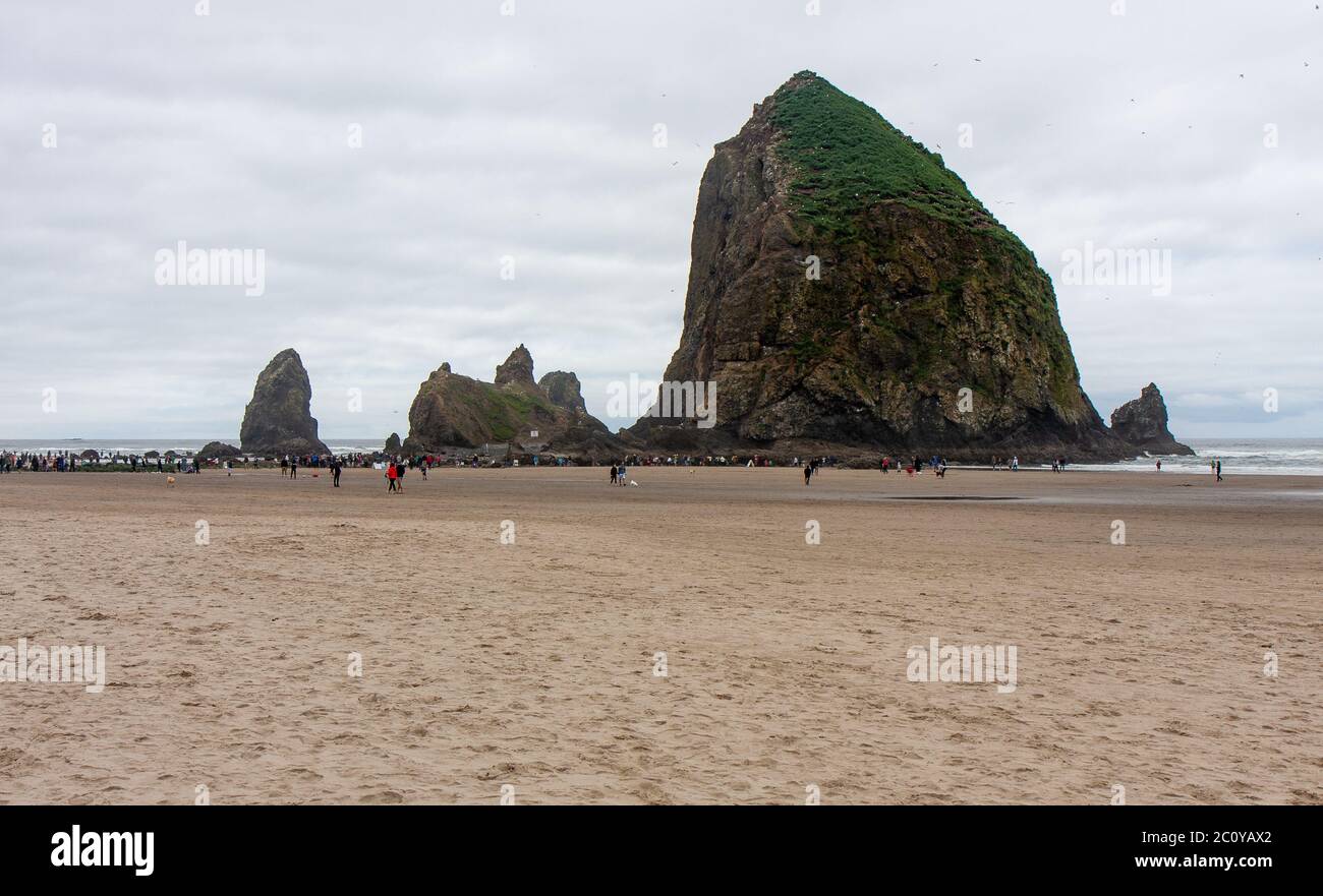 Le Haystack Rock à Cannon Beach, Oregon Banque D'Images