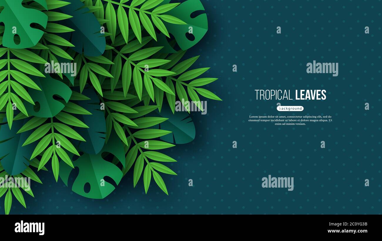 Feuilles de palmier tropicales de jungle exotique. Motif floral d'été avec arrière-plan en pointillés turquoise foncé, illustration vectorielle. Illustration de Vecteur