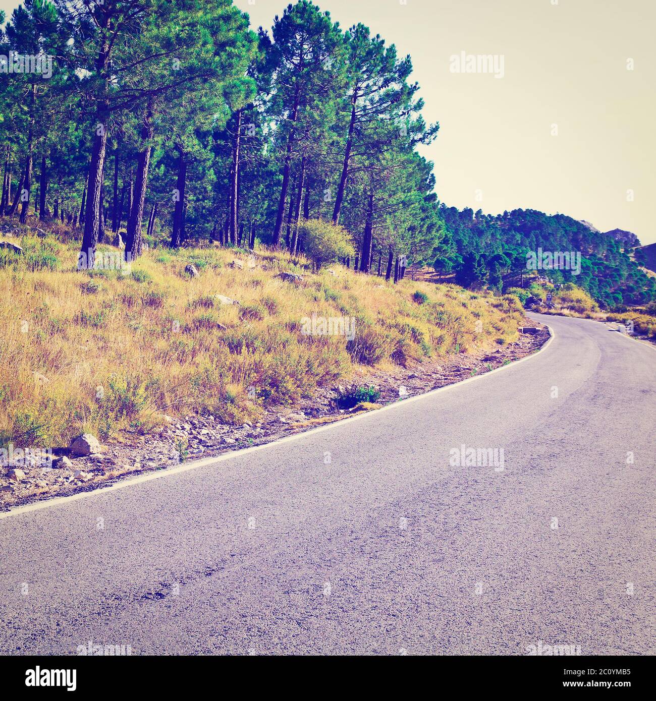 Route asphaltée Banque D'Images