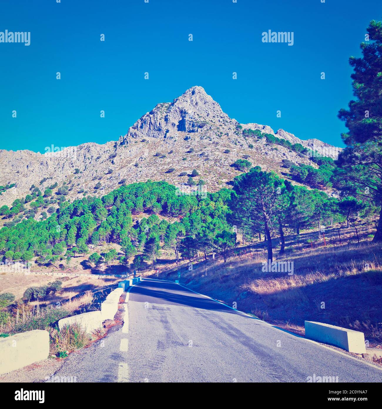 Route asphaltée Banque D'Images