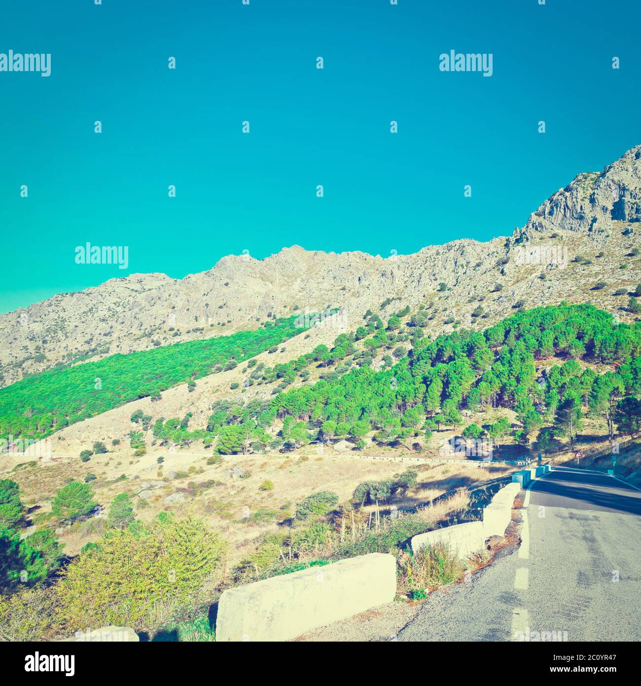 Route asphaltée Banque D'Images