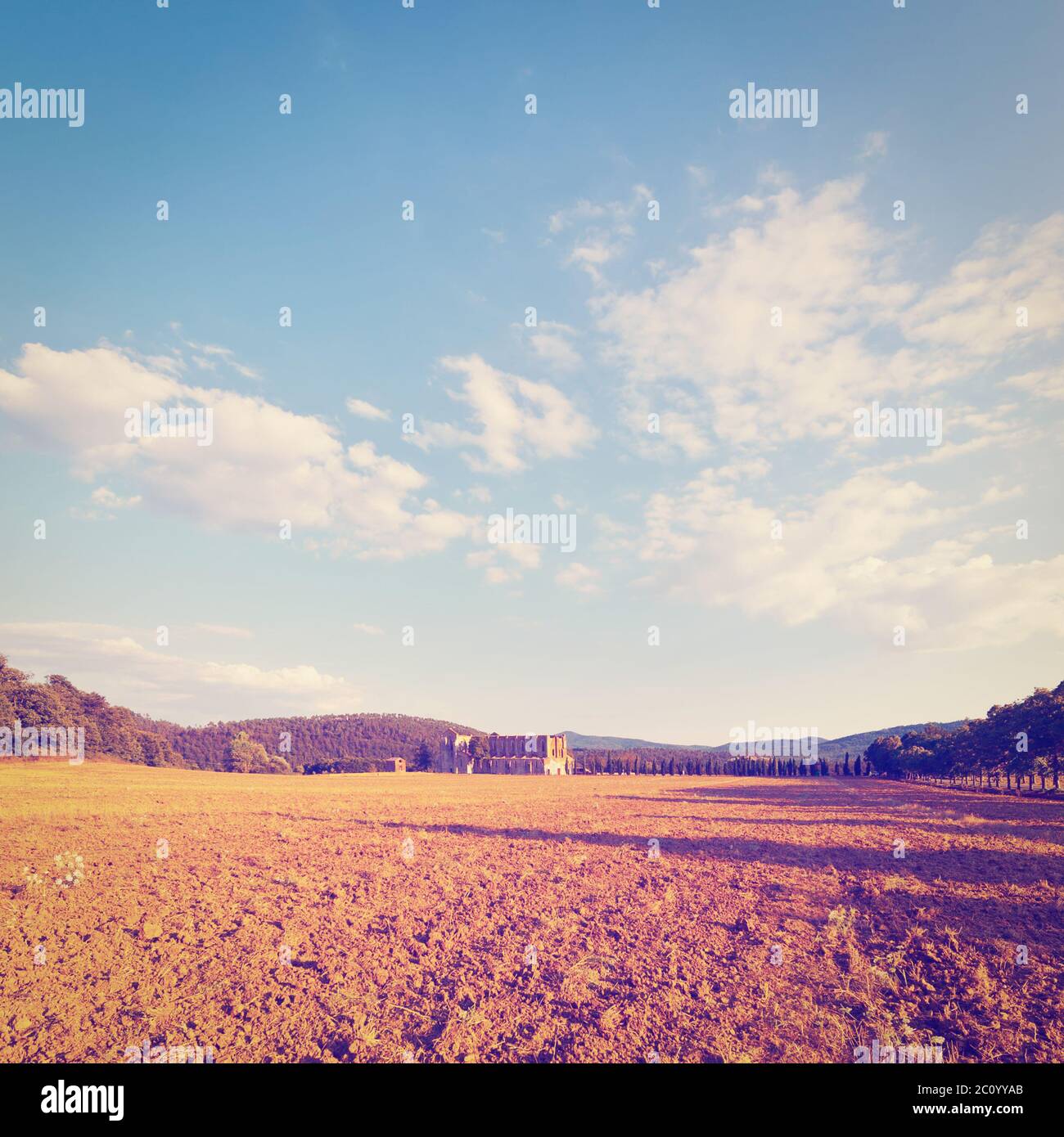 Sol en ruine Banque de photographies et d’images à haute résolution - Alamy