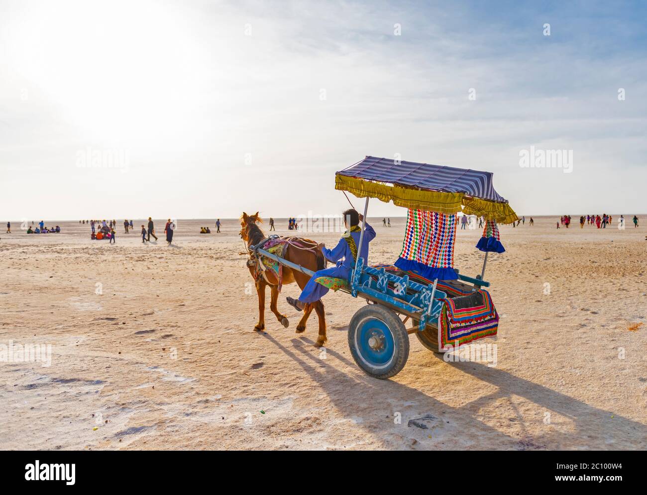 Chariot décoré à White Rann, Gujarat, Inde Banque D'Images