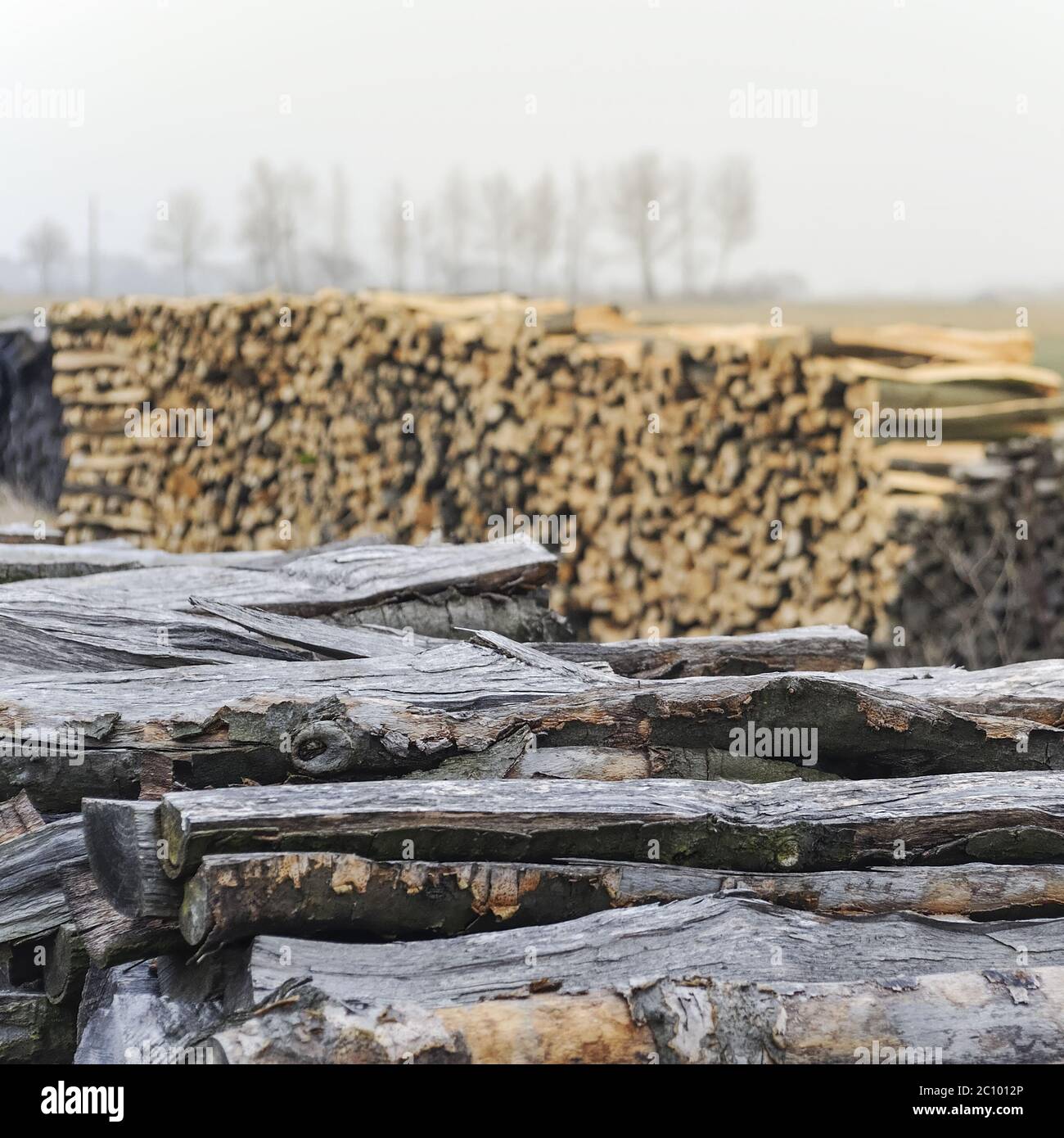 Bois de chauffage sur pile pour le séchage Banque D'Images