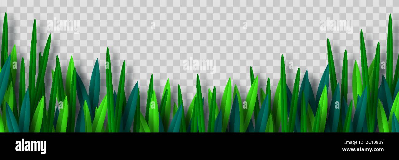 Bordure de l'herbe verte vectorielle. Illustration de Vecteur
