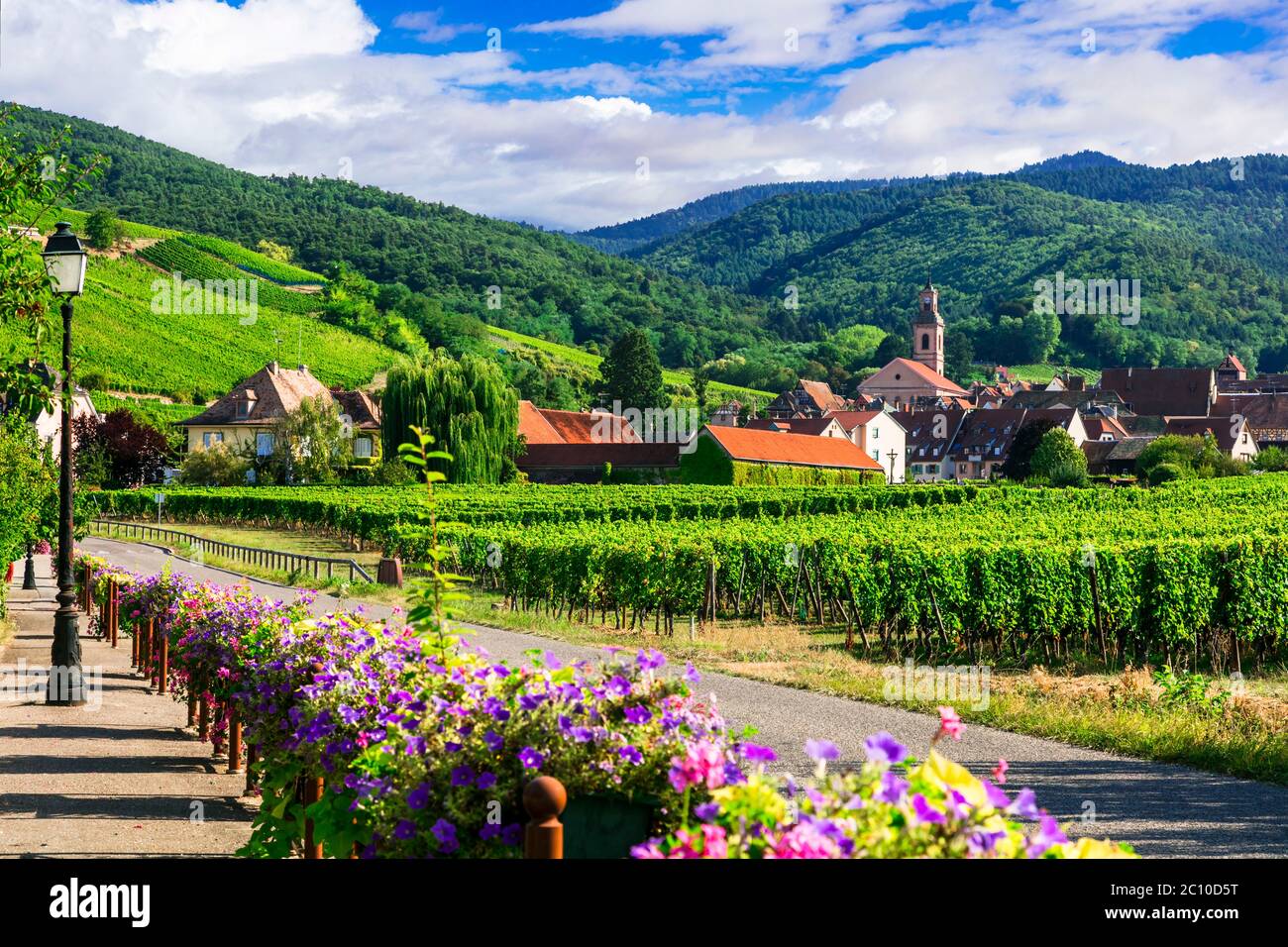 Belle campagne de la région Alsace - célèbre 'route de la vigne' en France. Husseren les châteaux village Banque D'Images