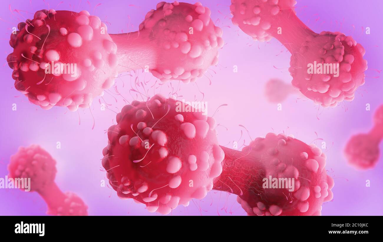 illustration 3d d'une cellule cancéreuse dans le processus de cytokinèse Banque D'Images