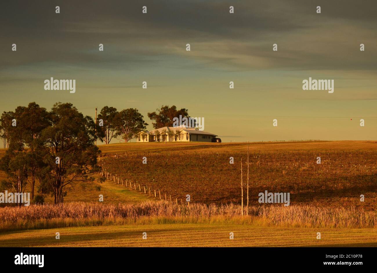 Cave de vinification dans la Hunter Valley, Nouvelle-Galles du Sud, Australie Banque D'Images