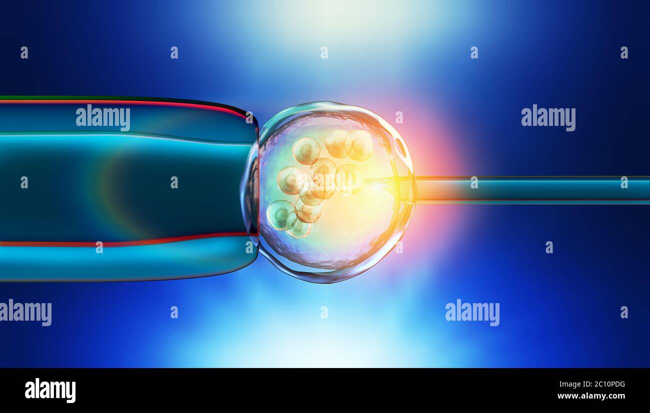 3d illustration colorée d'une fécondation in vitro d'un ovule Banque D'Images