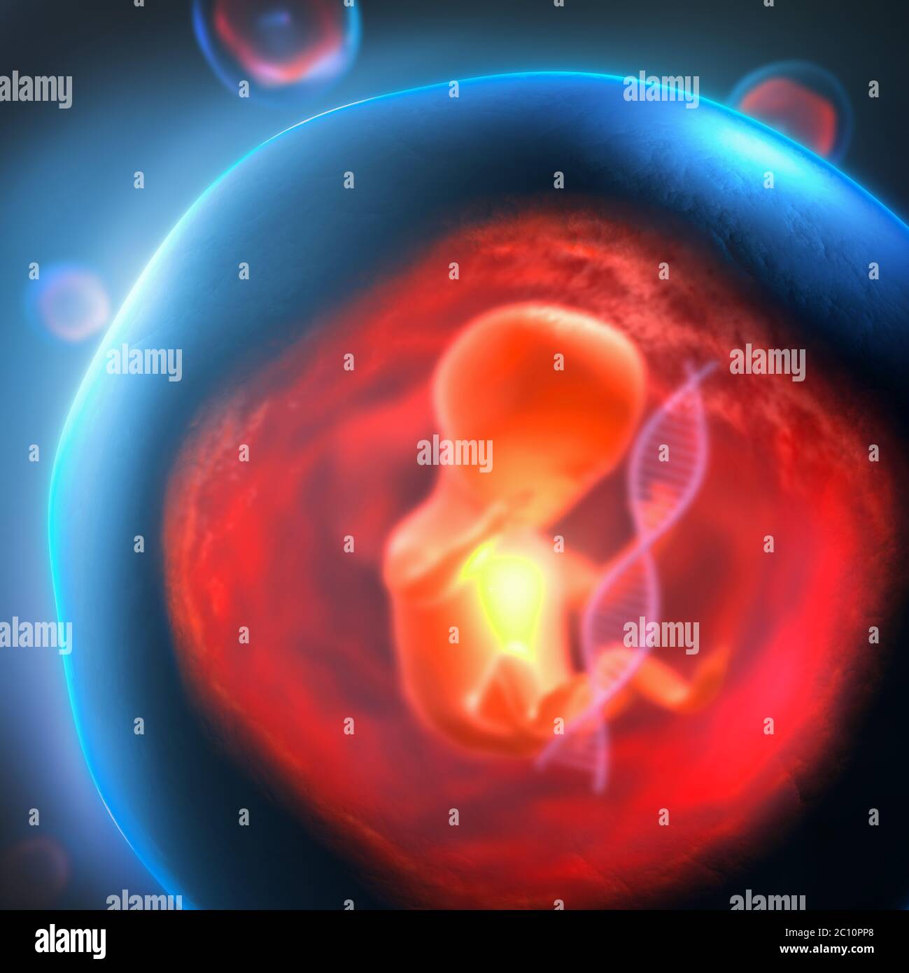 3d illustration d'un embryon génétiquement modifié à naître piégés dans une bulle transparente avec un brin d'ADN Banque D'Images