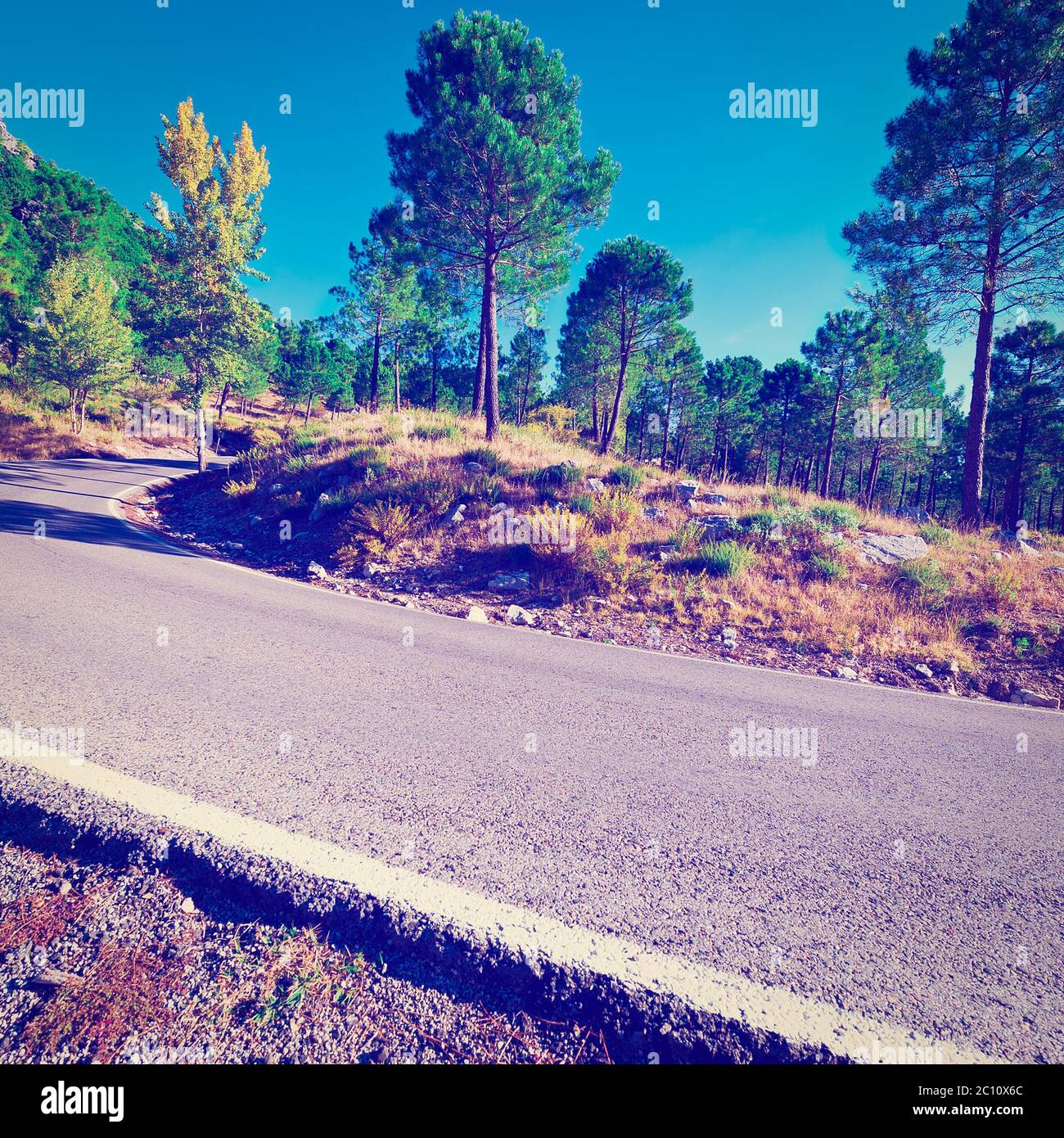 Route asphaltée Banque D'Images