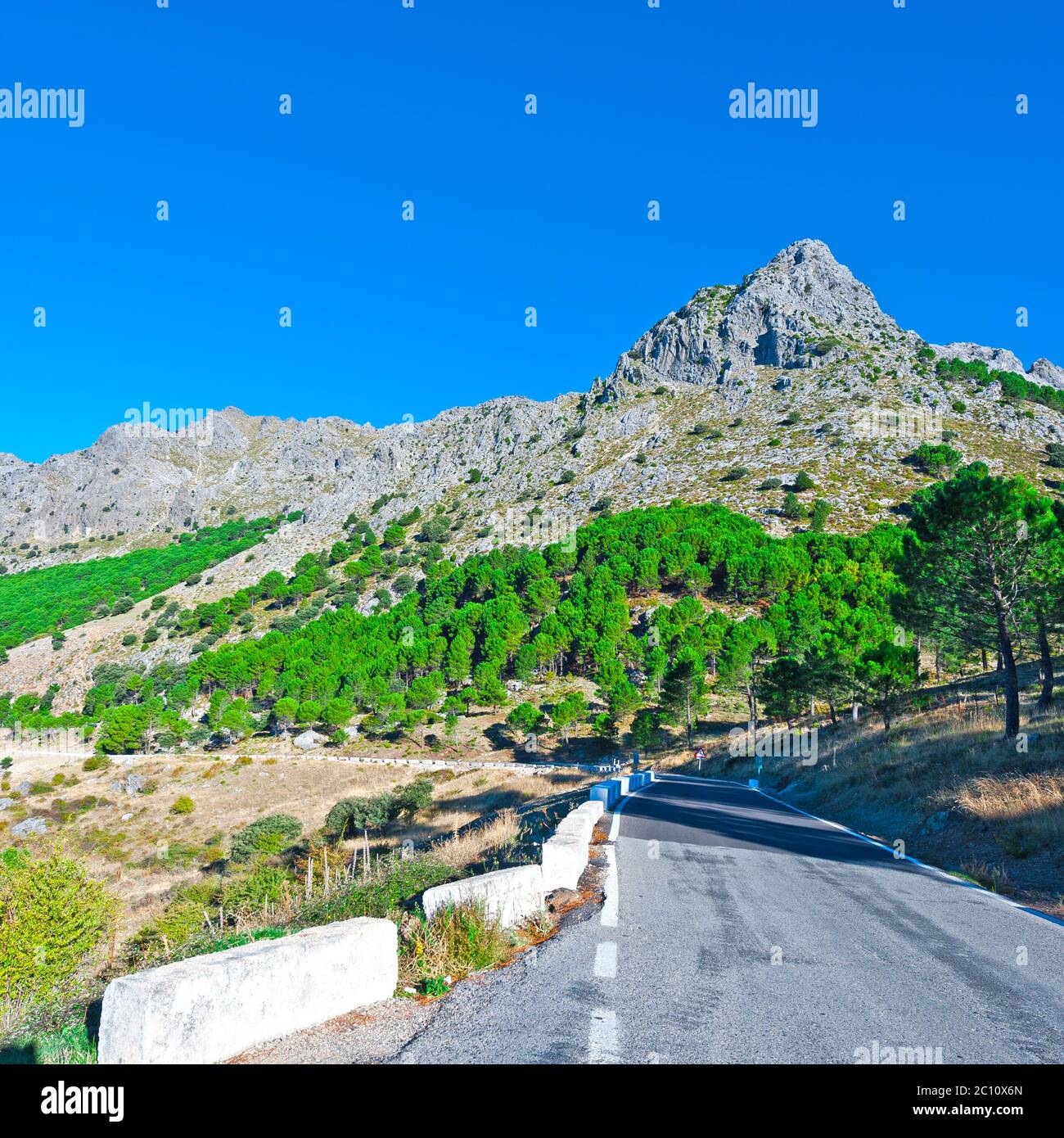 Route asphaltée Banque D'Images