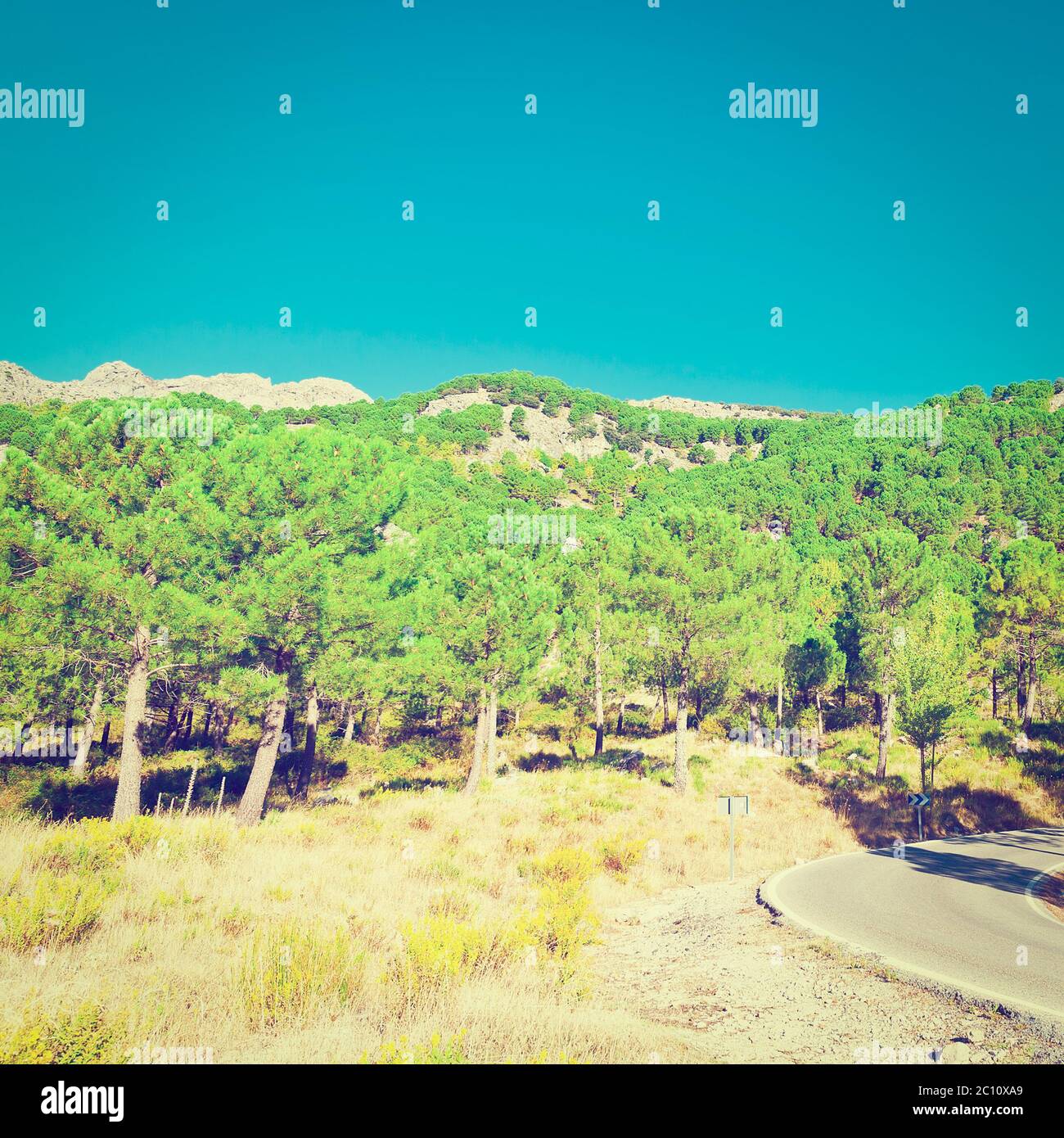 Route asphaltée Banque D'Images