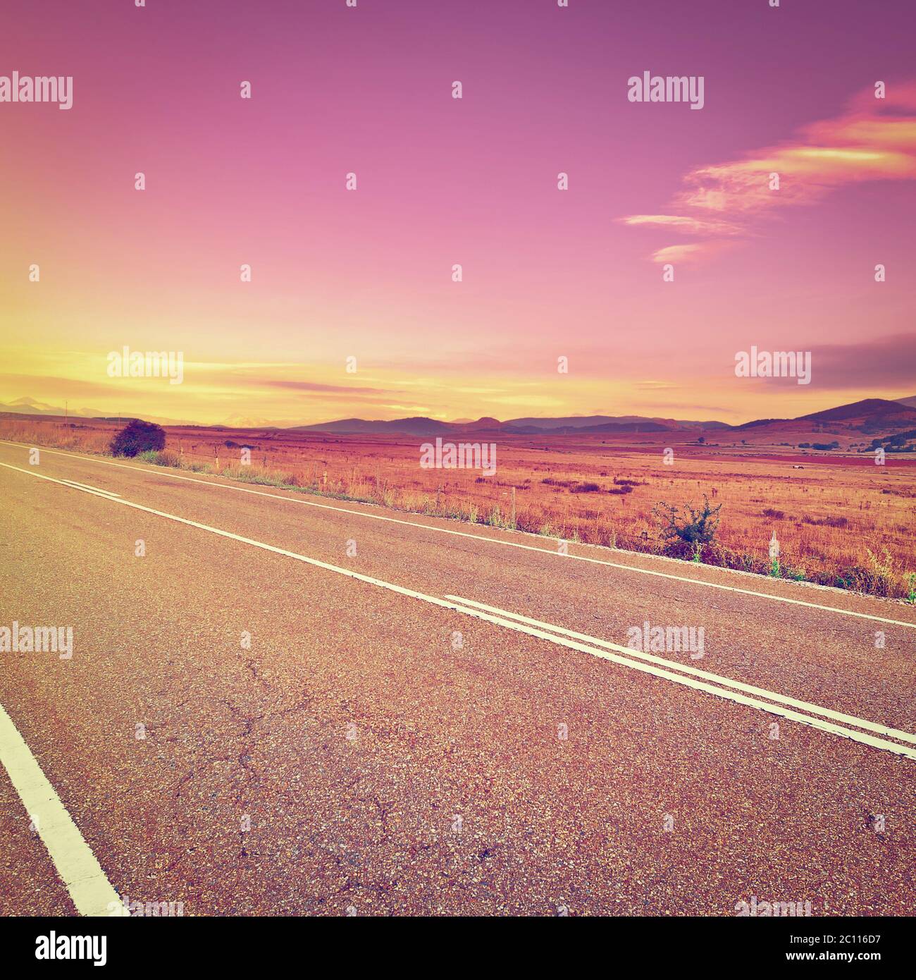 Route asphaltée Banque D'Images