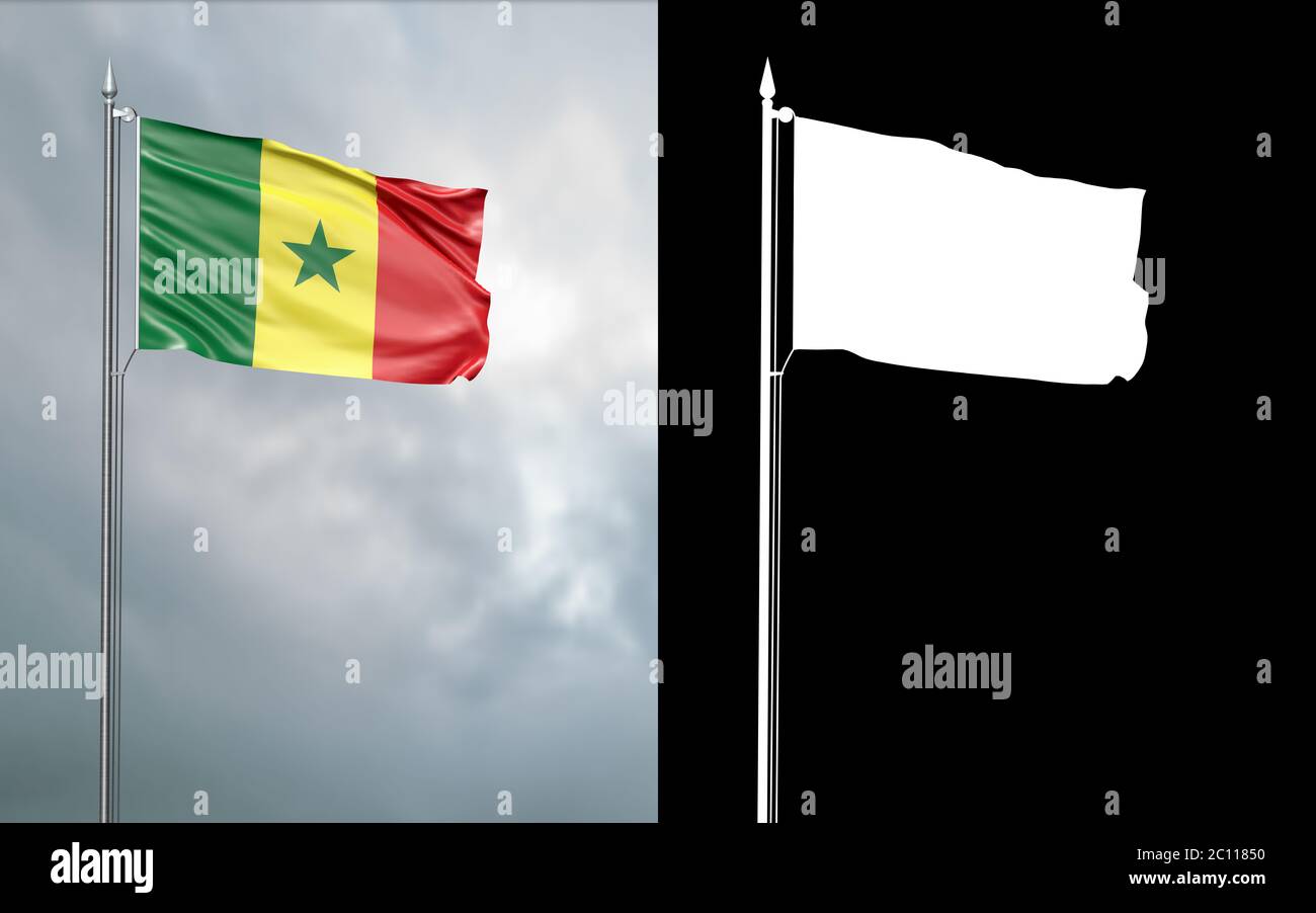 Drapeau Sénégal Agitant Dans Le Vent Contre Ciel Photo stock - Image du  mouvement, symbole: 271943812