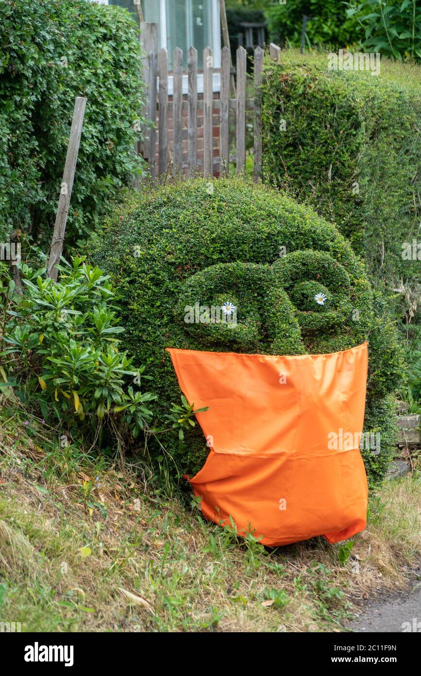Eldon, Essex, Royaume-Uni. 12 juin 2020. Un jardinier d'Essex vous rappelle rapidement qu'il est obligatoire pour les passagers de porter des revêtements faciaux lorsqu'ils utilisent les transports publics en Angleterre à partir du 15 juin. Photographie de topiaire topique dans un jardin à Eldon, Essex. Crédit : Mark Bourdillon/Alay Live News Banque D'Images