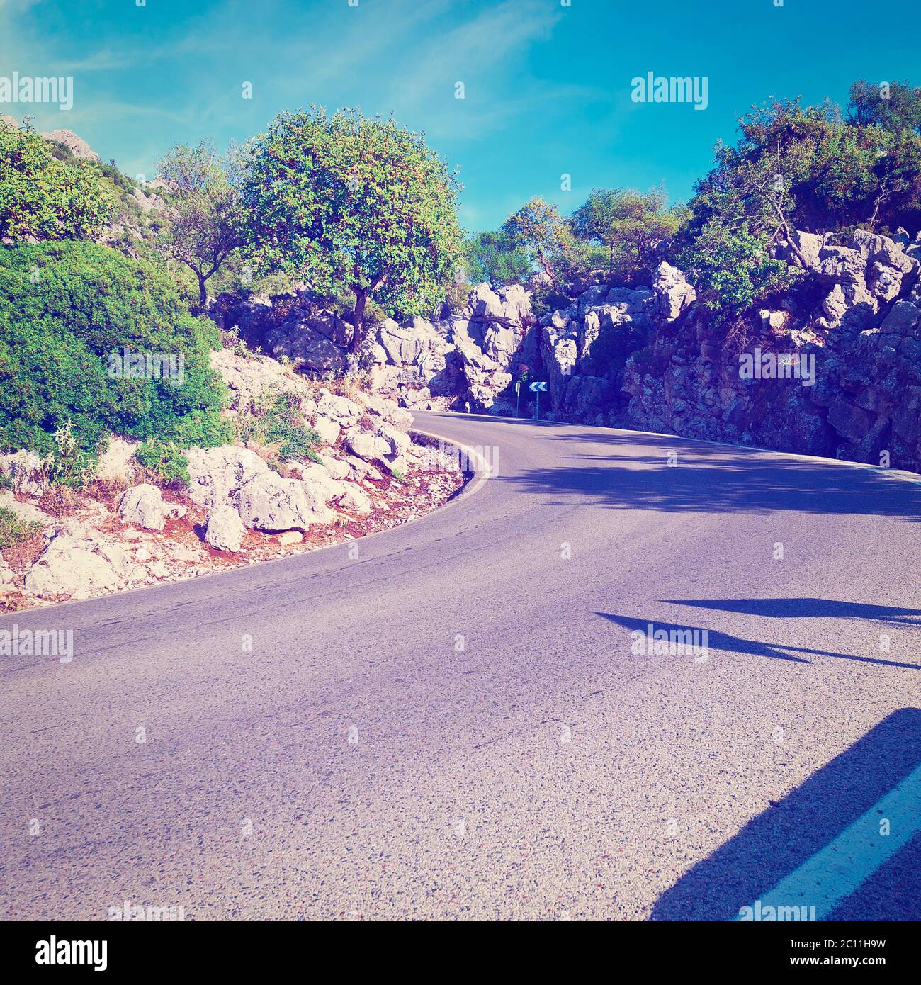 Route asphaltée Banque D'Images