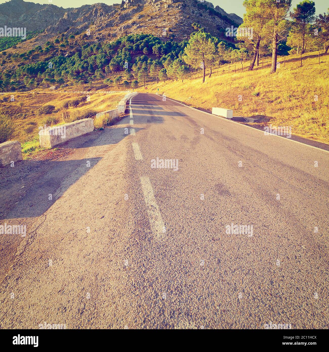 Route asphaltée Banque D'Images