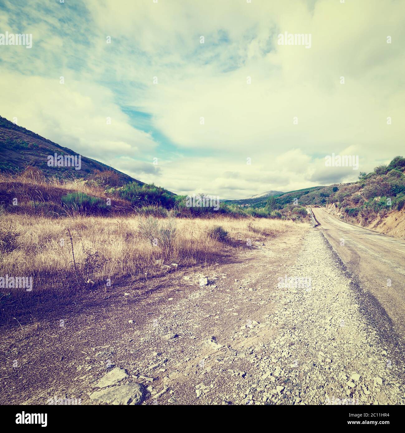 Route asphaltée Banque D'Images